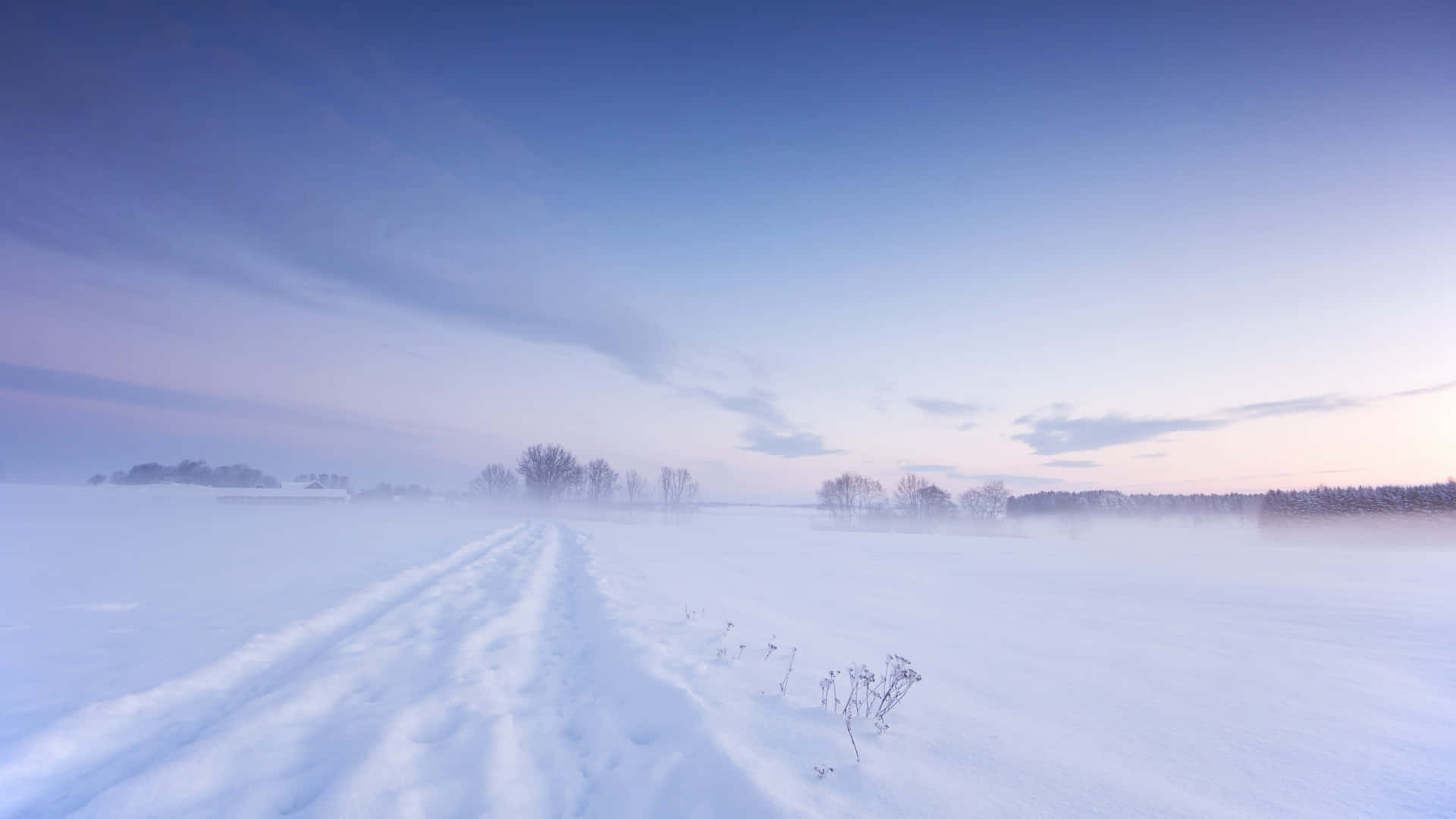  壁紙 — 寧靜的冬日黎明，霜凍的腳印蜿蜒穿過雪地，通往遠處光禿的樹木，天空呈現柔和的藍色和粉紅色。
