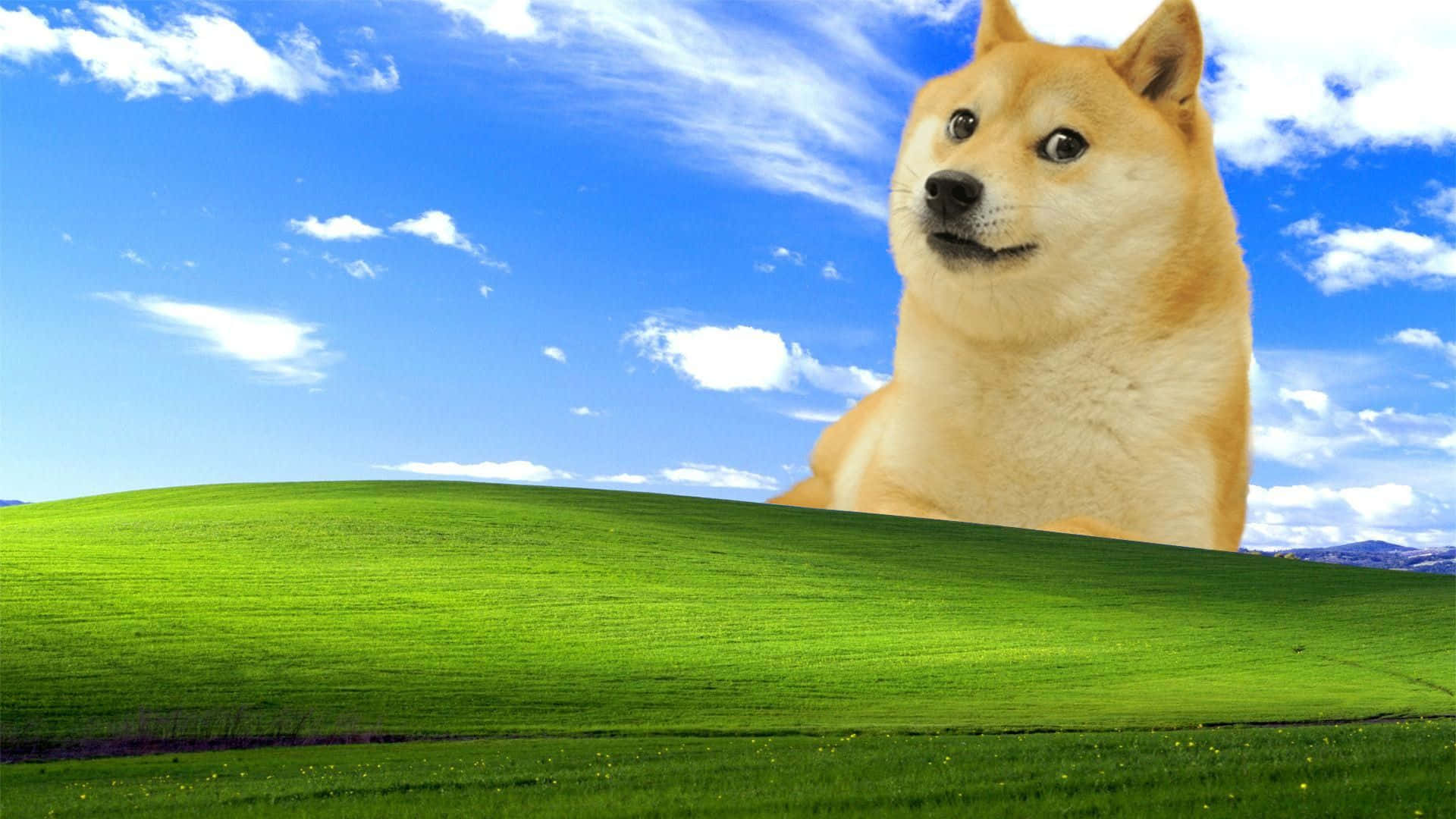  壁紙 — 一隻柴犬坐在起伏的綠色山丘上，背景是明亮的藍天和蓬鬆的白雲。