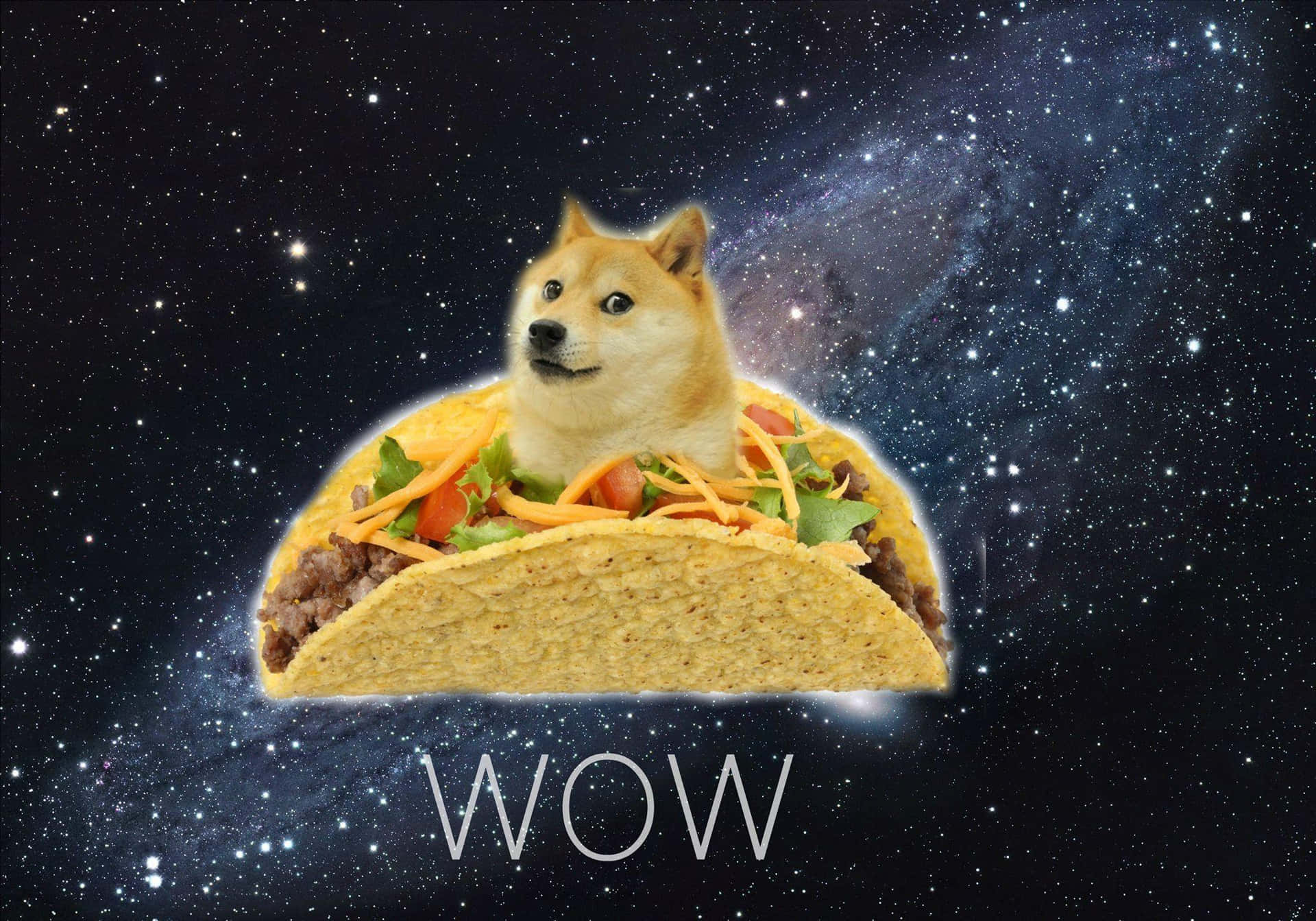 柴犬在墨西哥卷餅中漂浮在太空，伴有星星和WOW字樣