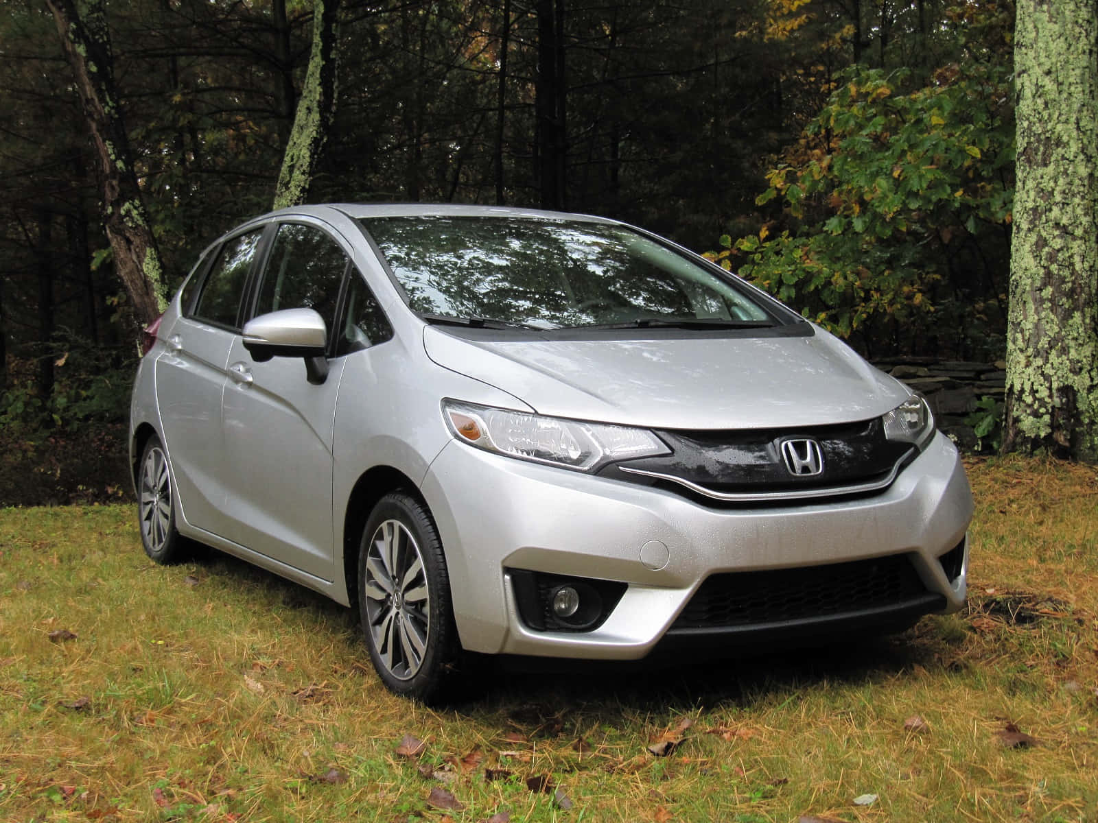 Honda Fit 桌布 壁紙 — 一輛銀色本田Fit停泊在草地上，周圍是茂密的森林，帶有秋葉。