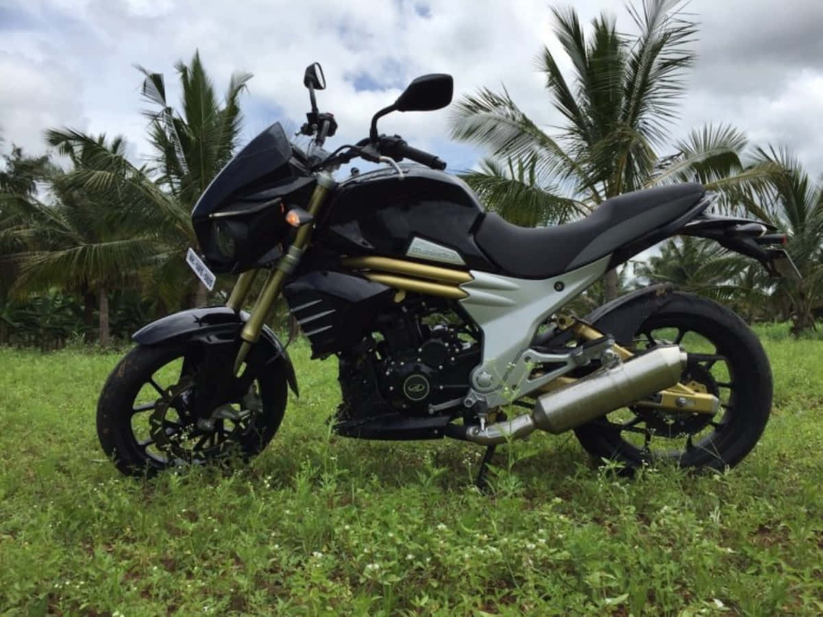 Mahindra Mojo 桌布 壁紙 — 一架時尚的黑色和金色電單車停在草地上，棕櫚樹在多雲的天空下搖曳。
