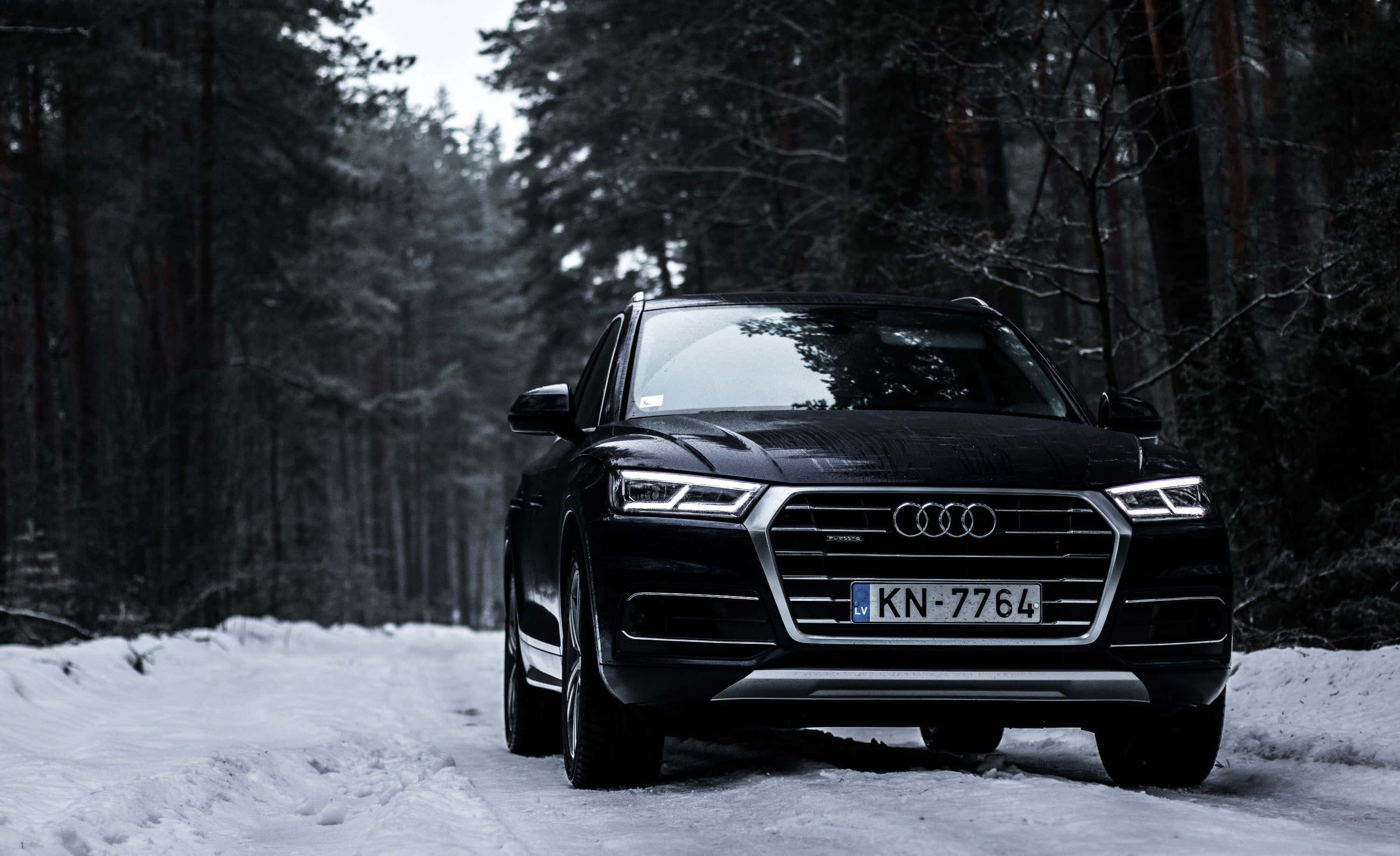 Audi Q5 桌布 壁紙 — 一輛時尚的黑色Audi SUV在灰濛濛的冬日天空下，行駛在白雪覆蓋、高聳松樹林立的森林中。