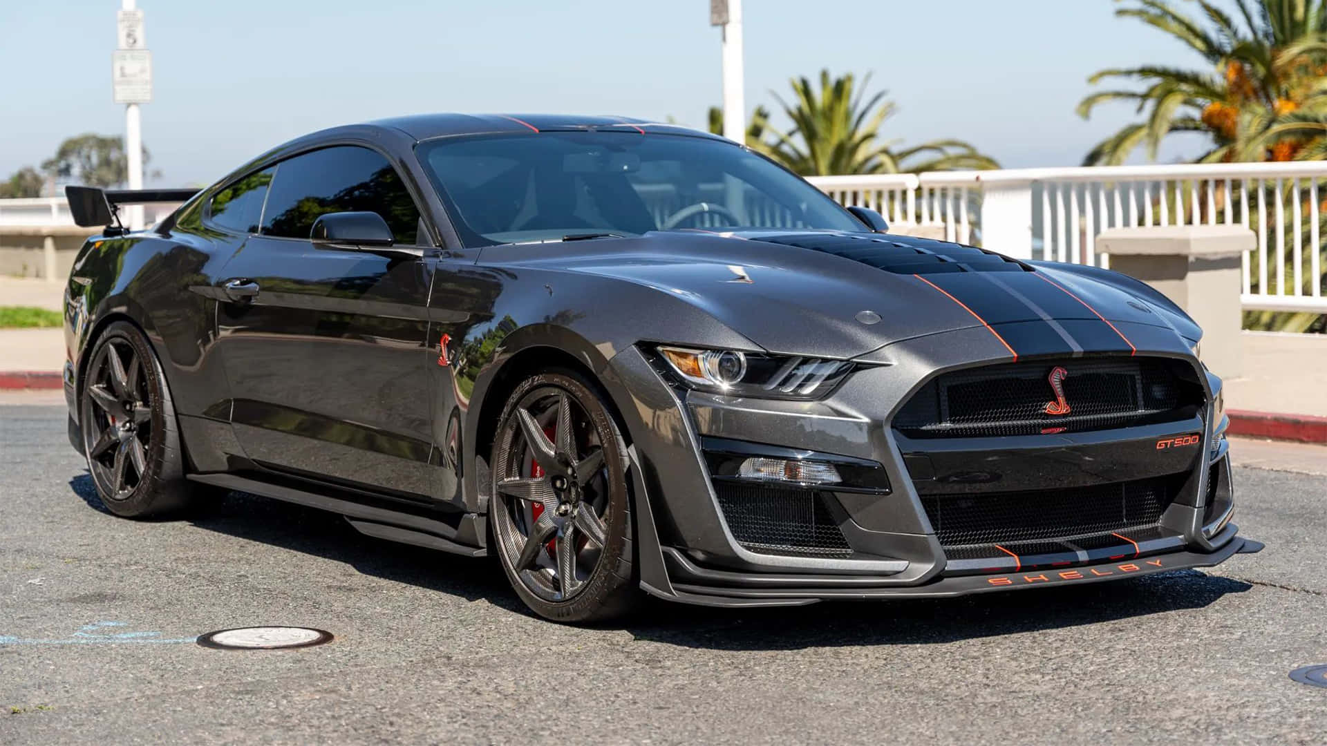  壁紙 — 一輛時尚的啞光灰色Shelby GT500跑車，帶有橙色點綴，停在明亮的日光下的瀝青路面上。
