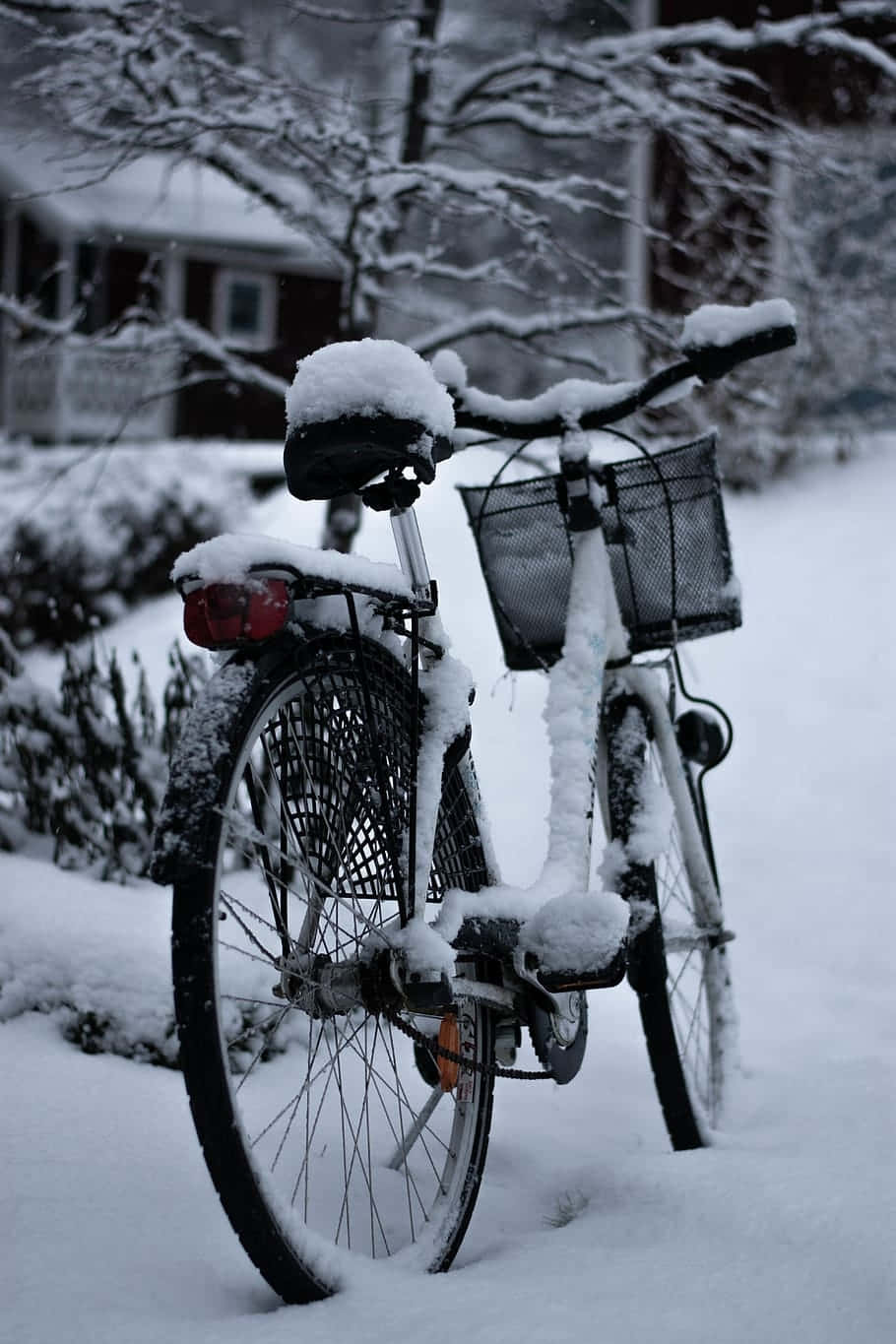  壁紙 — 一架被雪覆蓋的單車，帶有籃子，靜止在一個被雪壓枝條環繞的寧靜冬日庭院中。