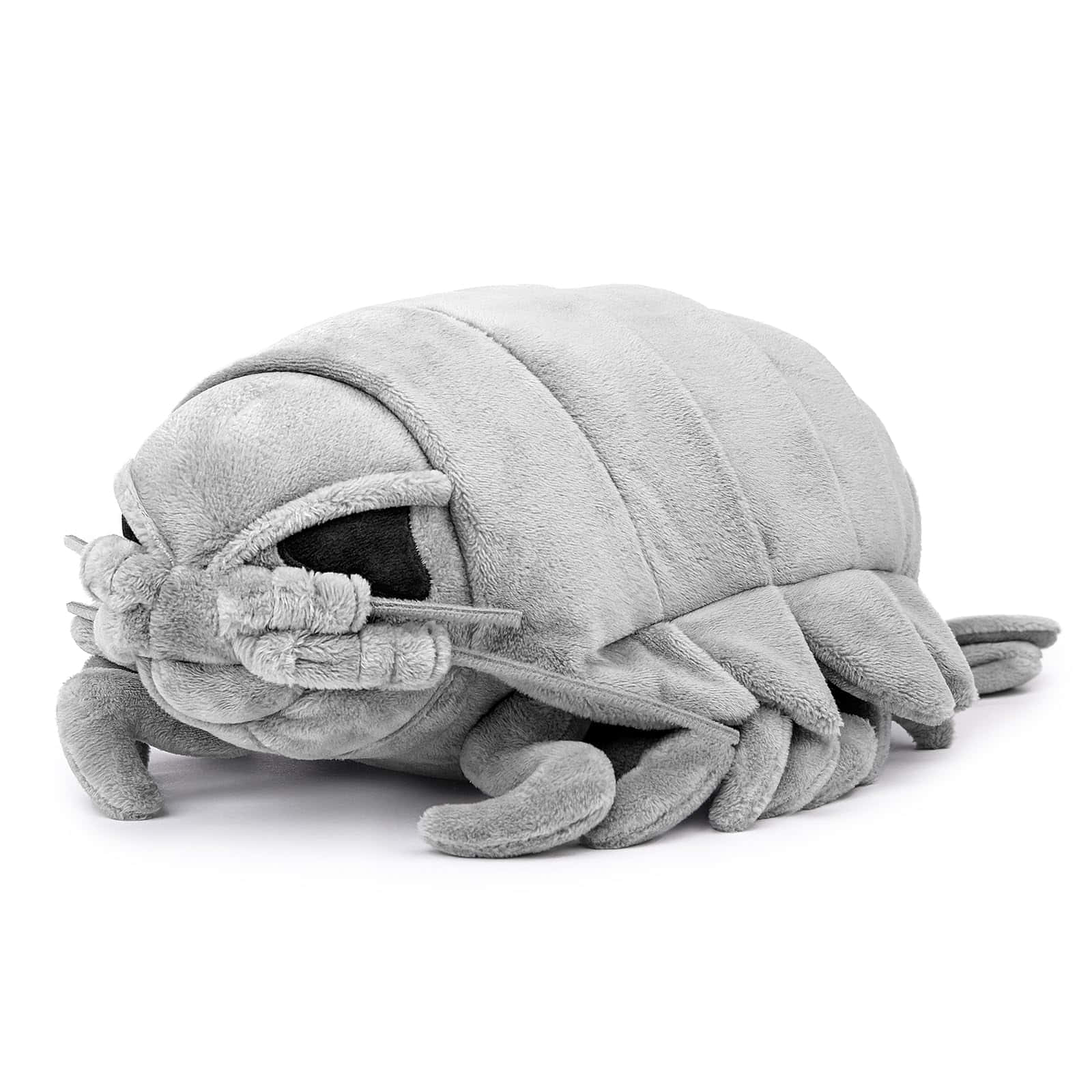 Giant Isopod 桌布 壁紙 — 一隻柔軟灰色毛絨等足類動物，帶有詳細分節的身體和細小的腿，躺在潔淨的白色背景上。