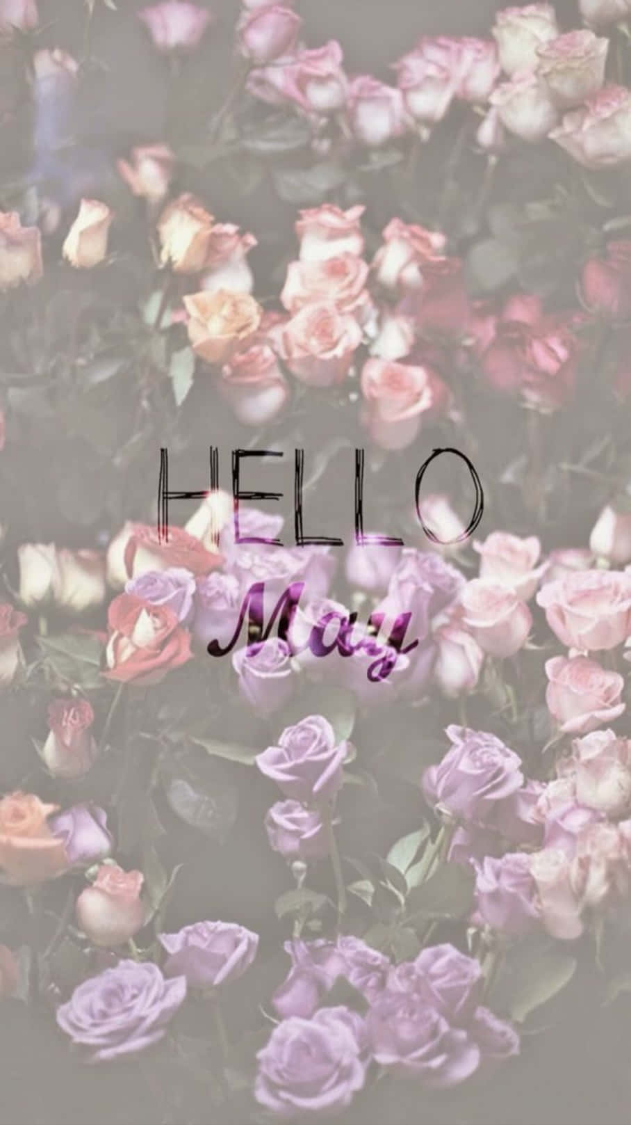 Hello May 文字疊加在粉紅色和紫色玫瑰束上。