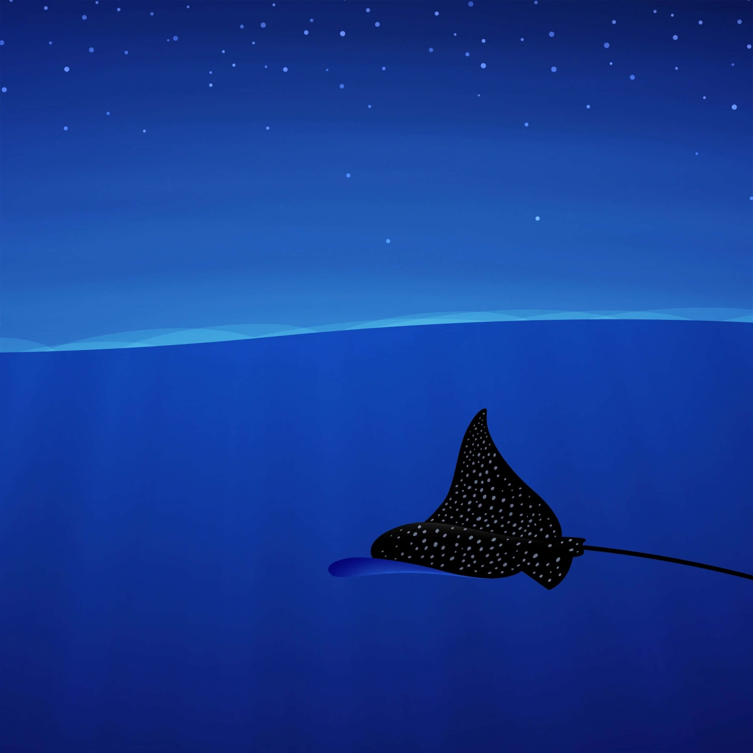 Eagle Ray 桌布 壁紙 — 一條斑點鷹鰩在深藍色海洋上空的星空下優雅地滑翔。