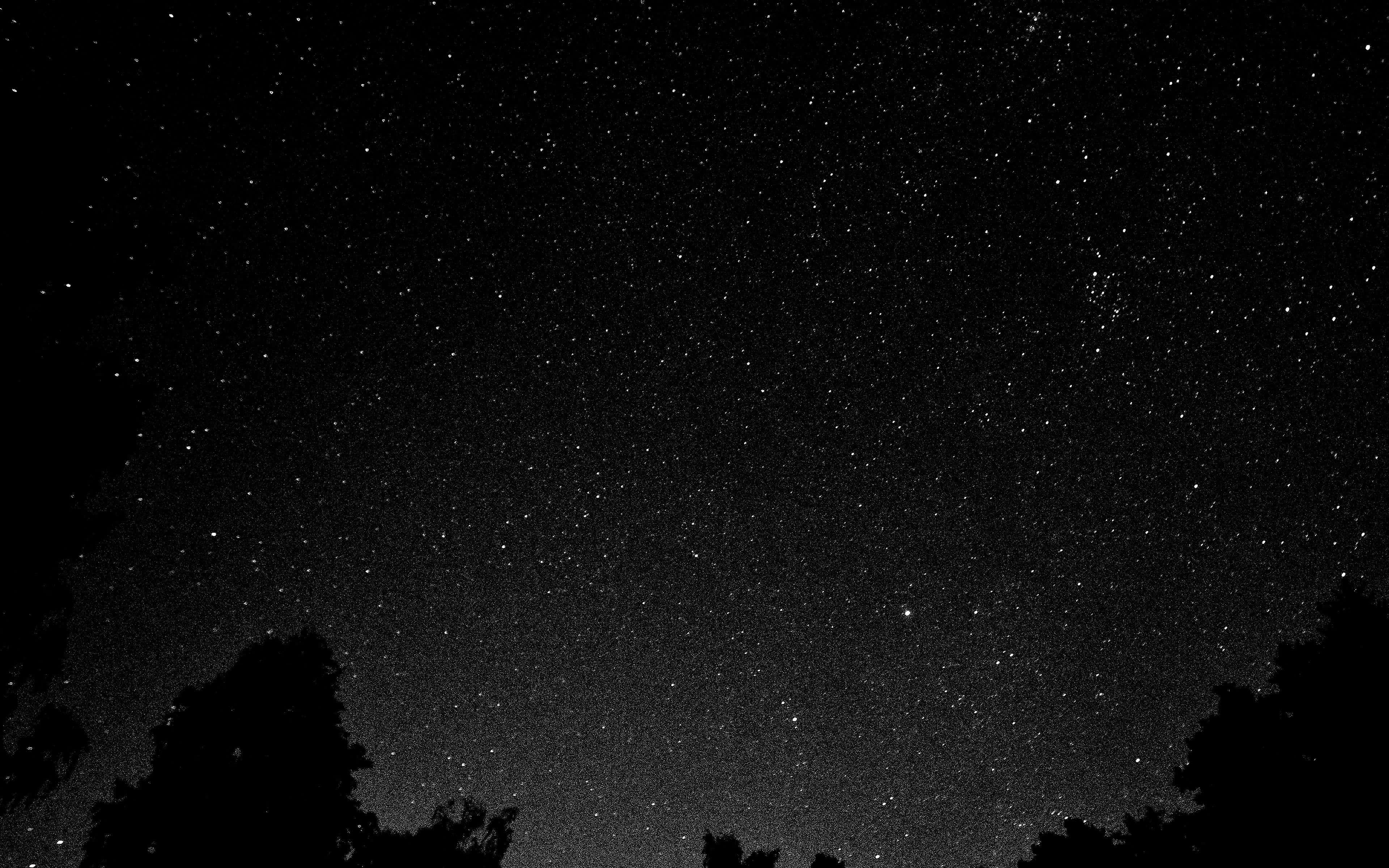 Black And White Star 桌布 壁紙 — 深邃黑色畫布上，由暗色樹木剪影框出的星空夜空。