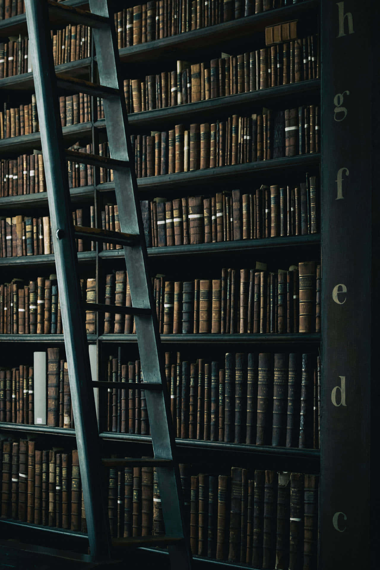 Dark Book Aesthetic 桌布 壁紙 — 一座高聳的圖書館，充滿了陳舊的皮革裝訂書籍，以及一把金屬梯子伸入陰暗的書架。