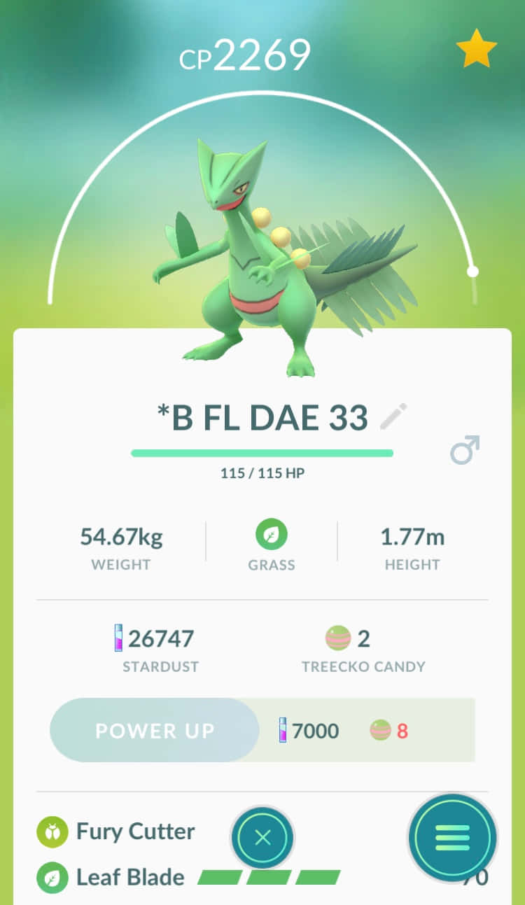 Sceptile 桌布 壁紙 — 一隻充滿活力的綠色閃光木守宮寶可夢顯示在遊戲介面中，附有統計數據和強化選項。