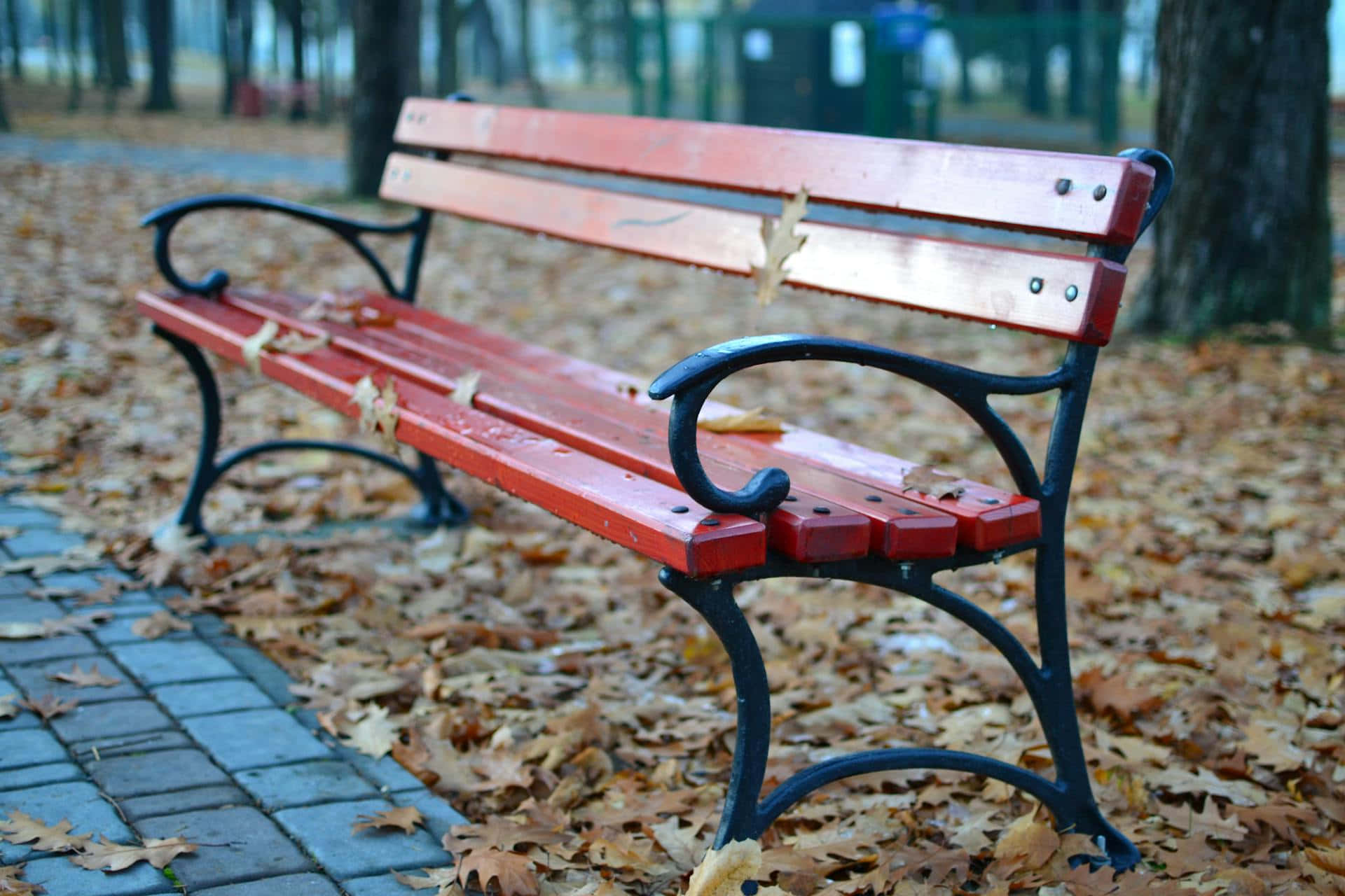  壁紙 — 一張風化的紅色公園長椅，帶有黑色鐵製扶手，周圍散落著秋天的落葉，位於鋪砌的小徑上。