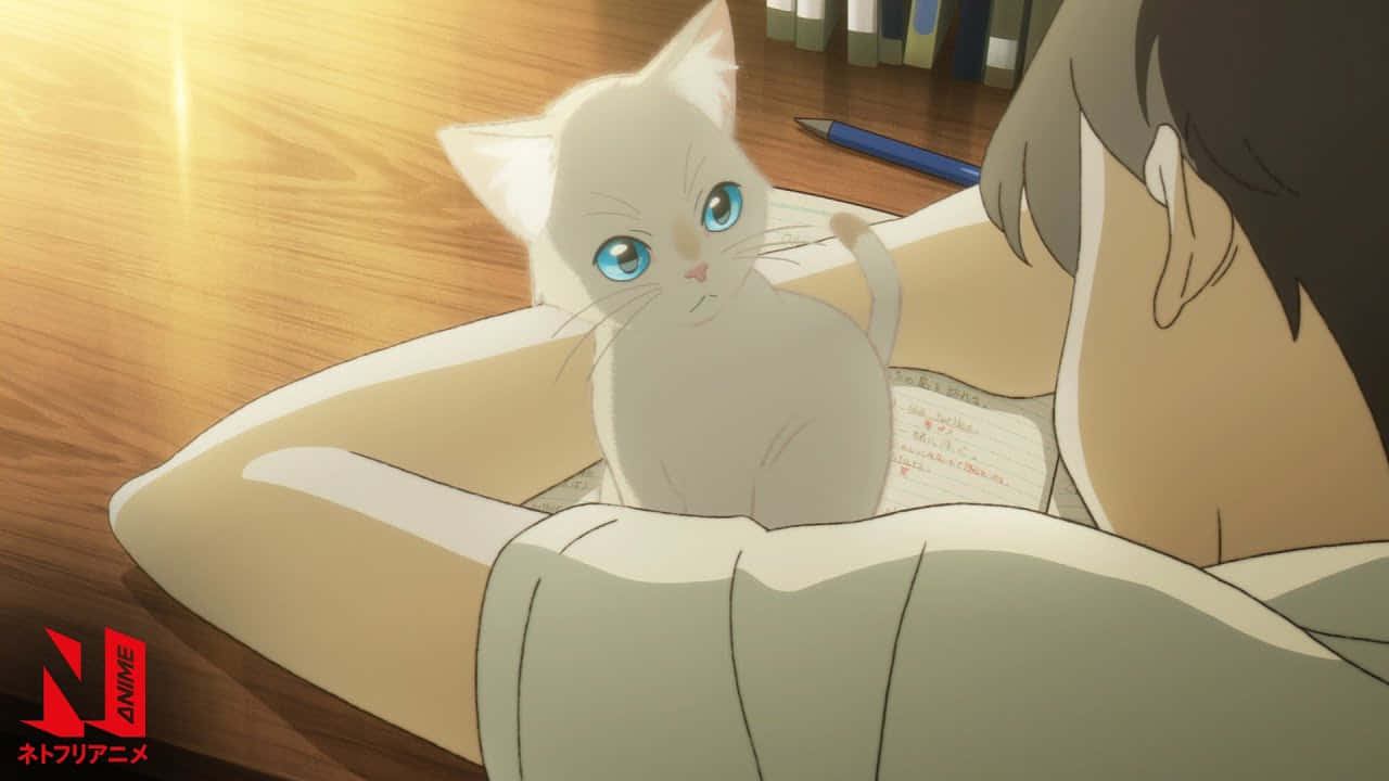 在《A Whisker Away》中，Mirai與她的貓伴Hanabusa展開一場魔法冒險！ 壁紙 — 一隻藍眼睛的白色動漫小貓安靜地坐在一個溫暖的木房間裡的人的膝蓋上。