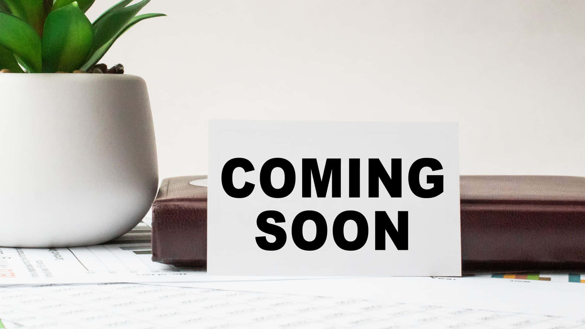 桌上的「COMING SOON」卡片、植物和文件。