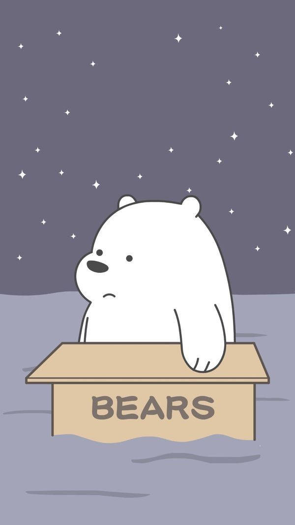 一隻悲傷的卡通熊坐在一個標有 BEARS 的箱子上，背景是繁星點點的夜空。