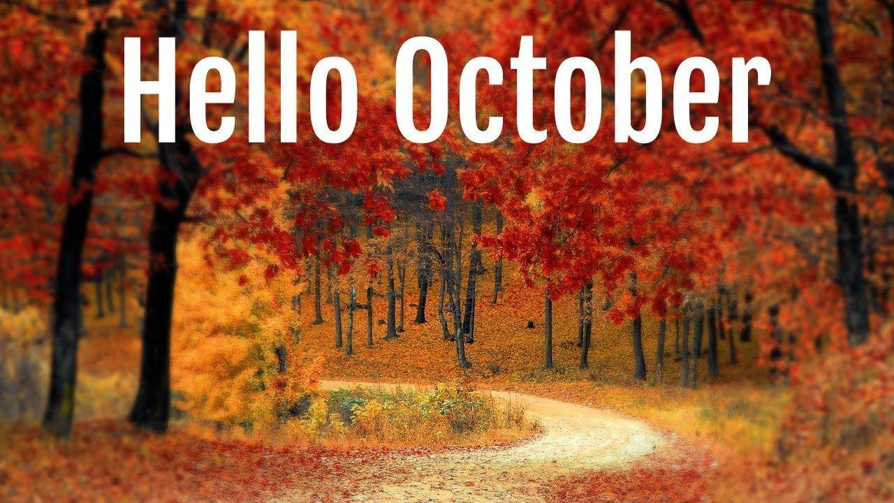 蜿蜒小路穿過秋林，有紅橙葉子和「Hello October」文字。