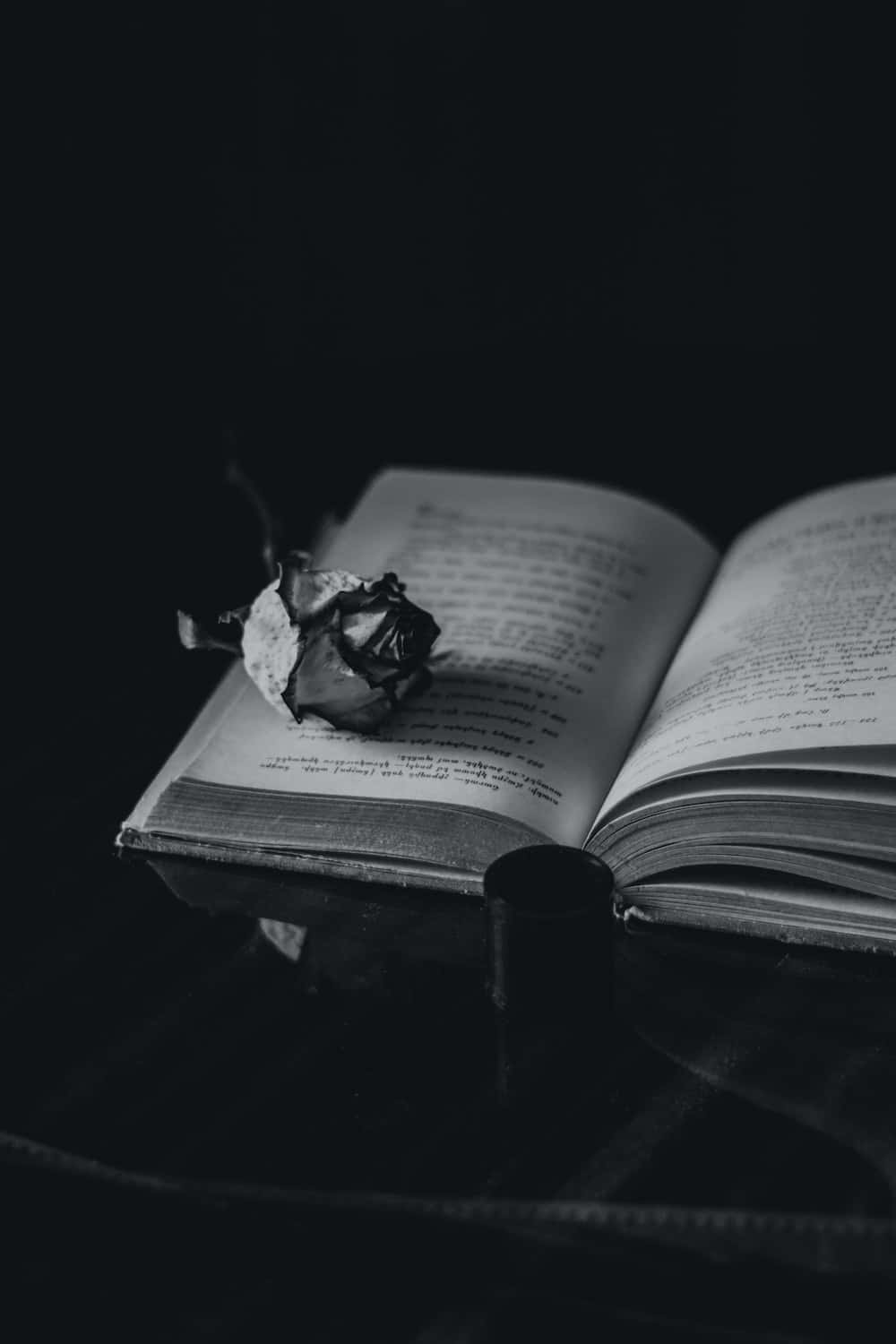 Dark Book Aesthetic 桌布 壁紙 — 一朵枯萎的玫瑰放在一本打開的書上，形成鮮明的黑白構圖。