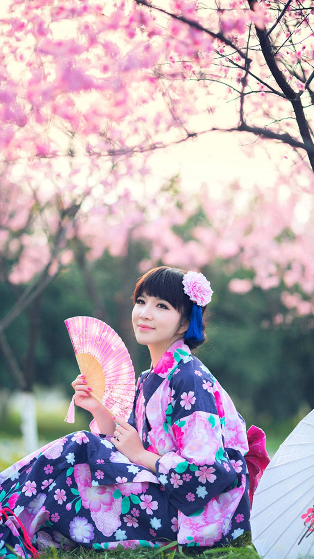 花卉和服女士在櫻花下持粉紅扇