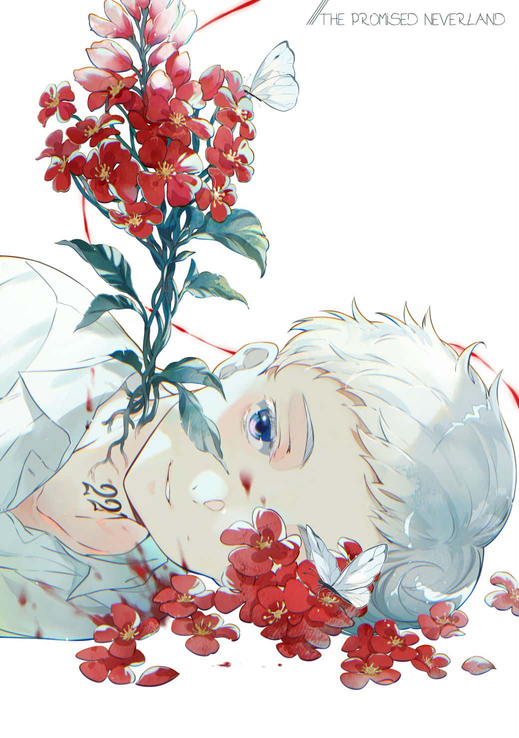 The Promised Neverland Norman 桌布 壁紙 — 一個白髮的年輕動漫男孩平靜地躺在鮮豔的紅花和飛舞的白蝴蝶之中。