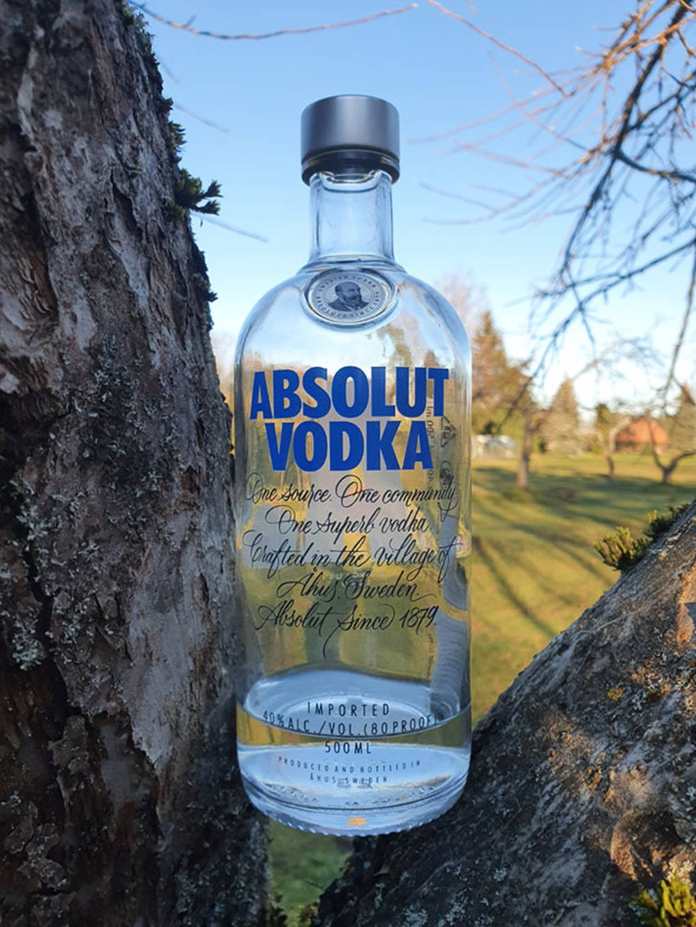 Absolut Vodka酒瓶在陽光明媚的戶外環境中夾在樹幹之間。
