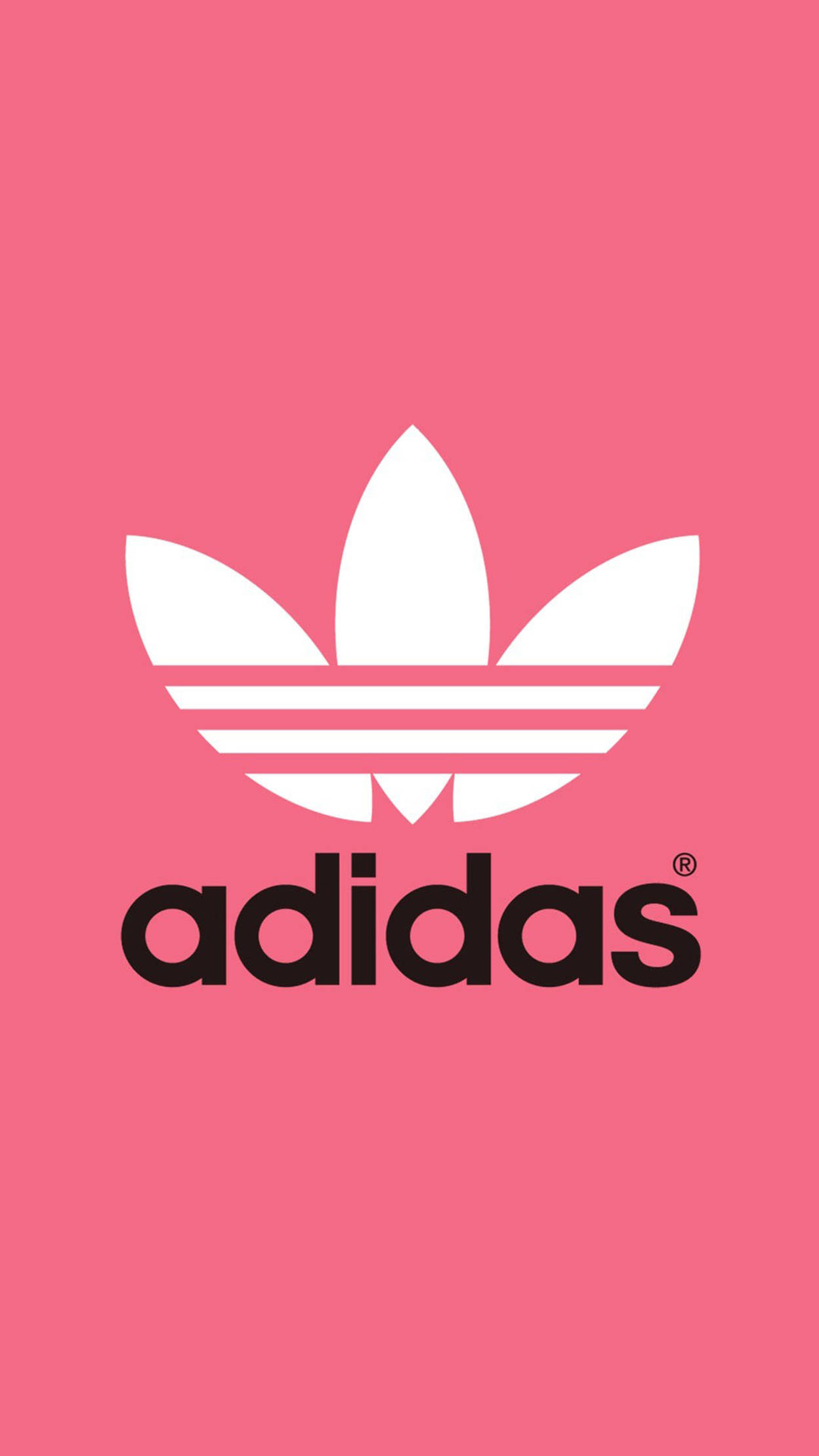 Adidas 粉紅美學潮流 iPhone 壁紙 — 一個大膽的白色Adidas三葉草標誌和品牌名稱居中在純粉色背景上。
