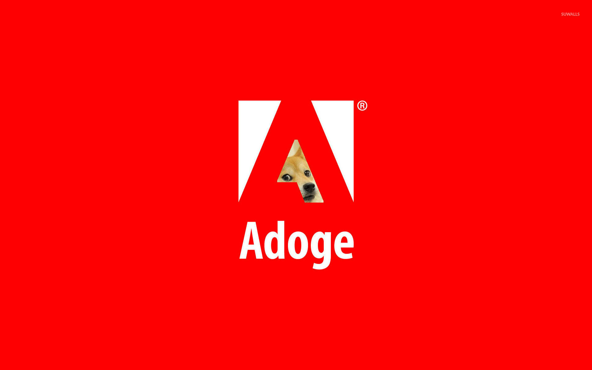 紅色背景上有一個白色「A」標誌，包含狗的臉，下方有文字「Adoge」。