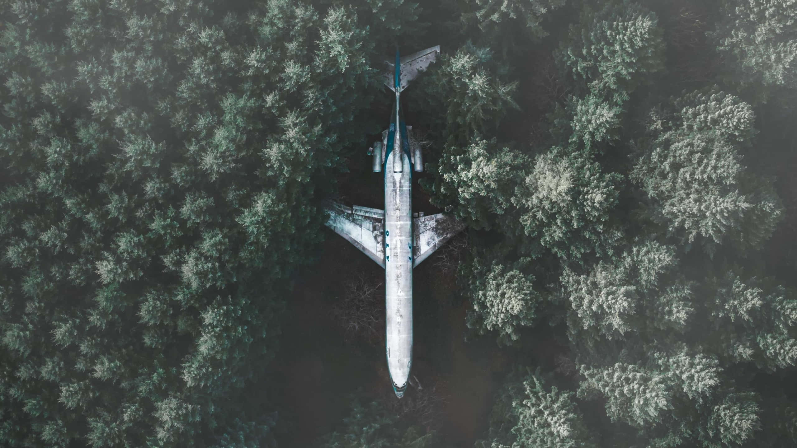 絕美天空之旅 — 從雲端探索世界！ 壁紙 — 一架墜毀的飛機埋在茂密的綠色森林樹冠中的鳥瞰圖。