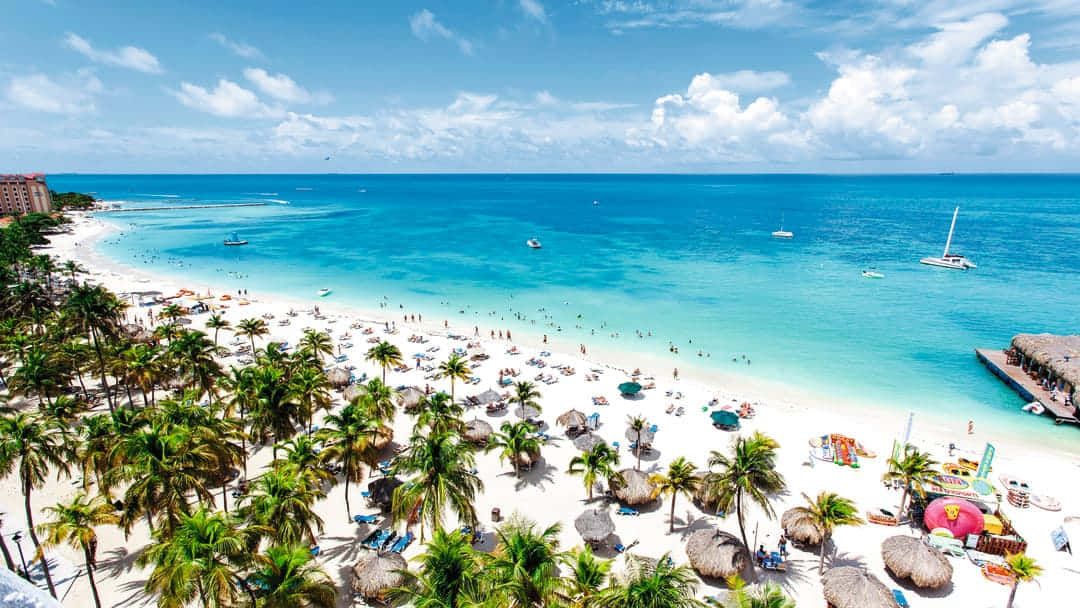 Caribbean Island 桌布 壁紙 — 充滿活力的熱帶海灘鳥瞰圖，有碧綠的海水、棕櫚樹和享受晴朗天氣的日光浴者。