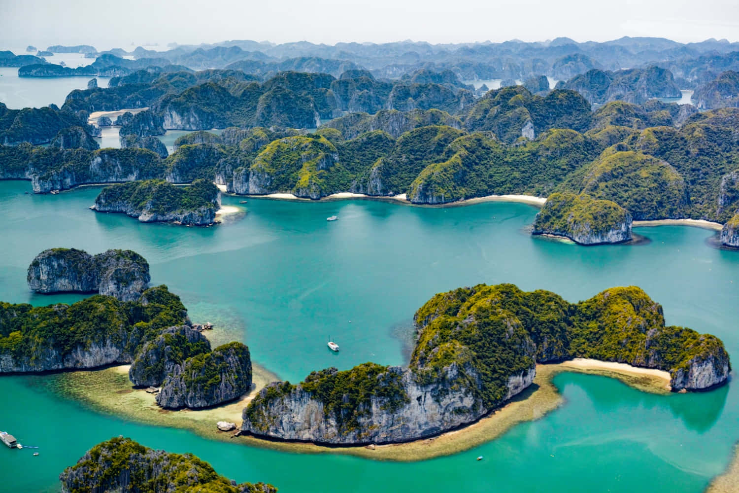 碧綠海水和森林覆蓋島嶼的鳥瞰圖，擁有沙灘和小船。