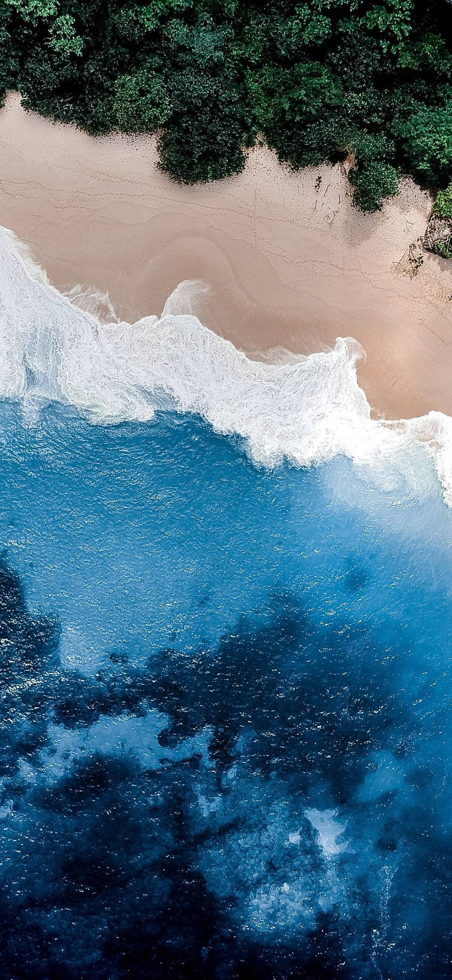 從高空拍攝，海浪與沙灘相遇，背景是叢林。