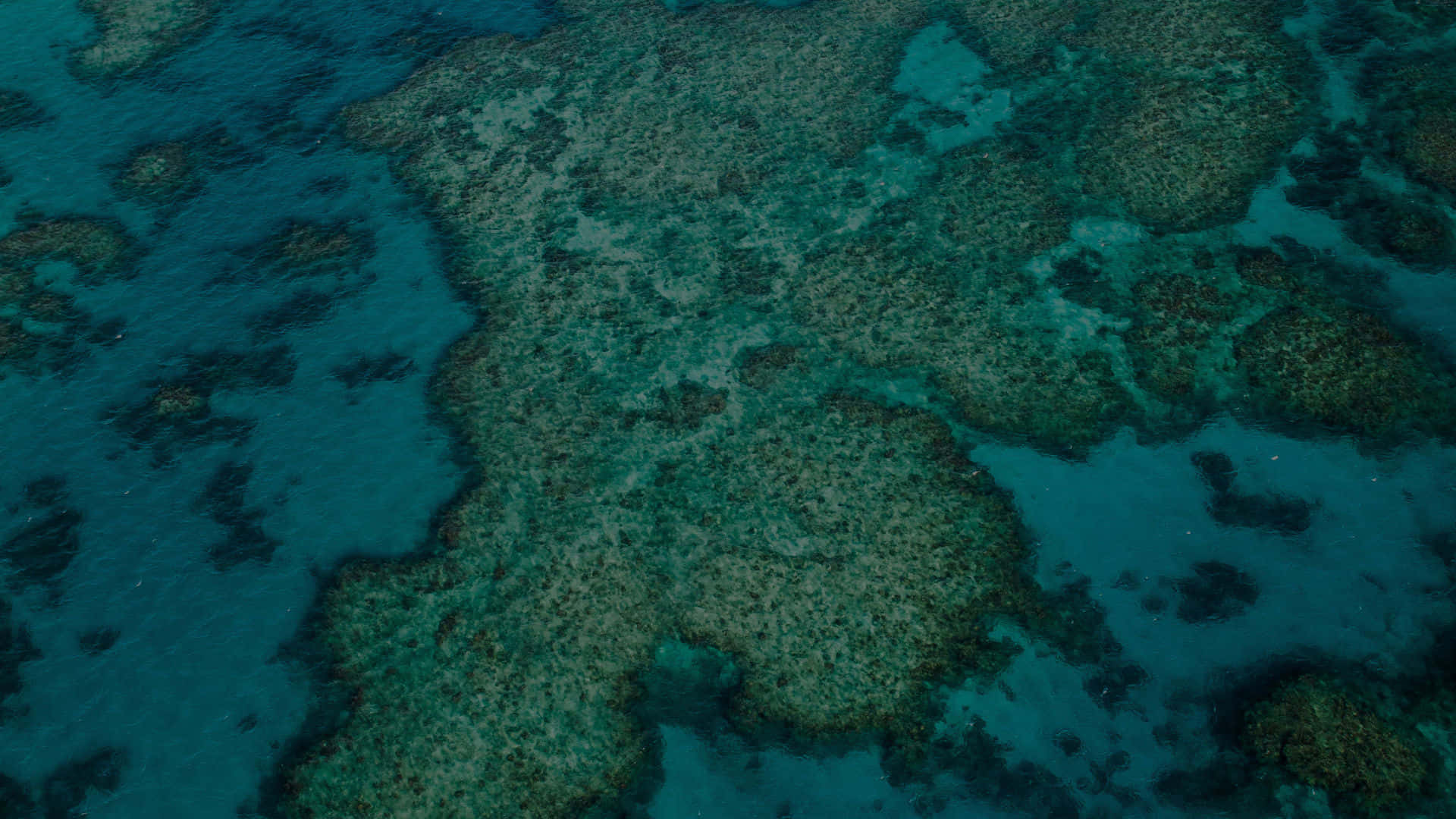  壁紙 — 從高空俯瞰，充滿活力的碧綠海水下展現出複雜的珊瑚礁圖案。