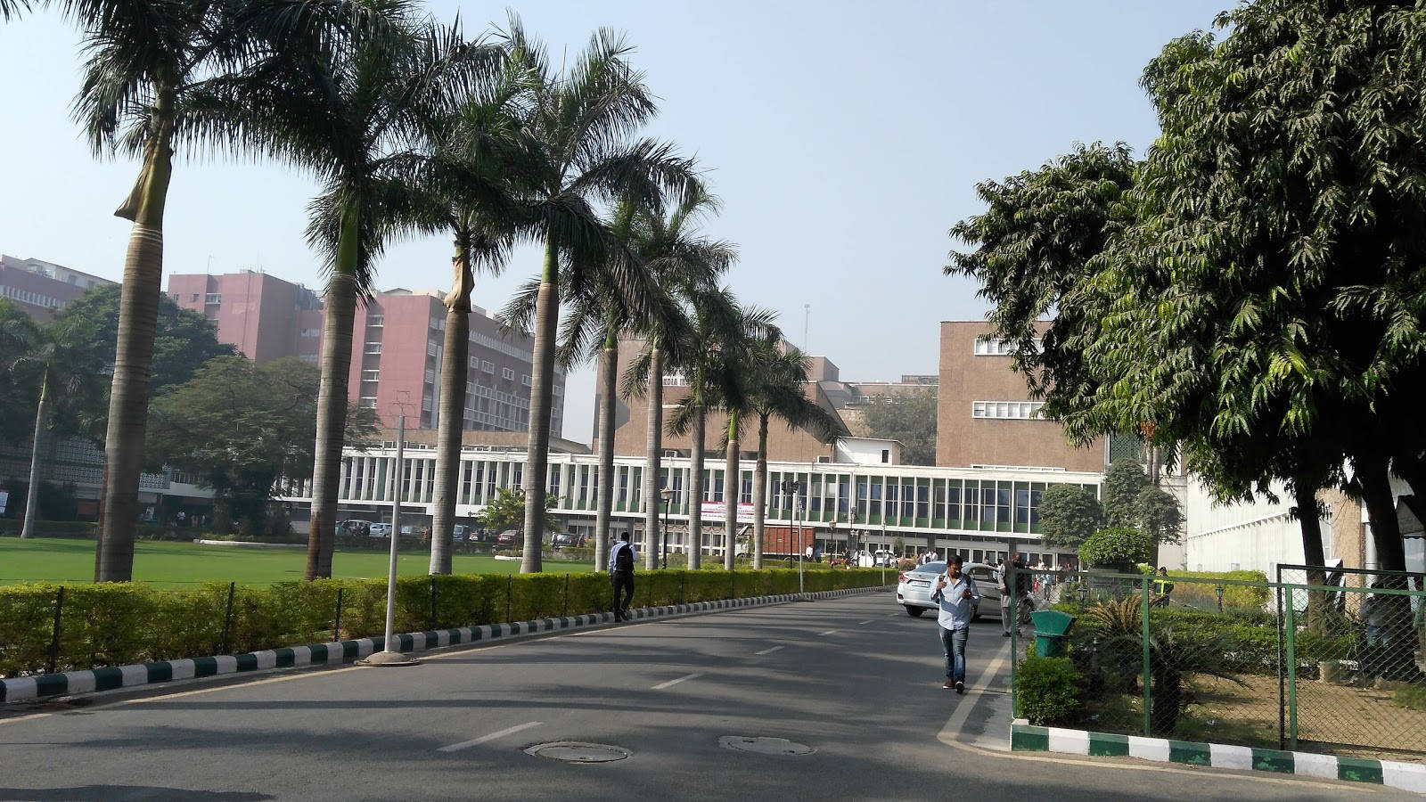 城市街道，有棕櫚樹和建築物，天空清澈湛藍
