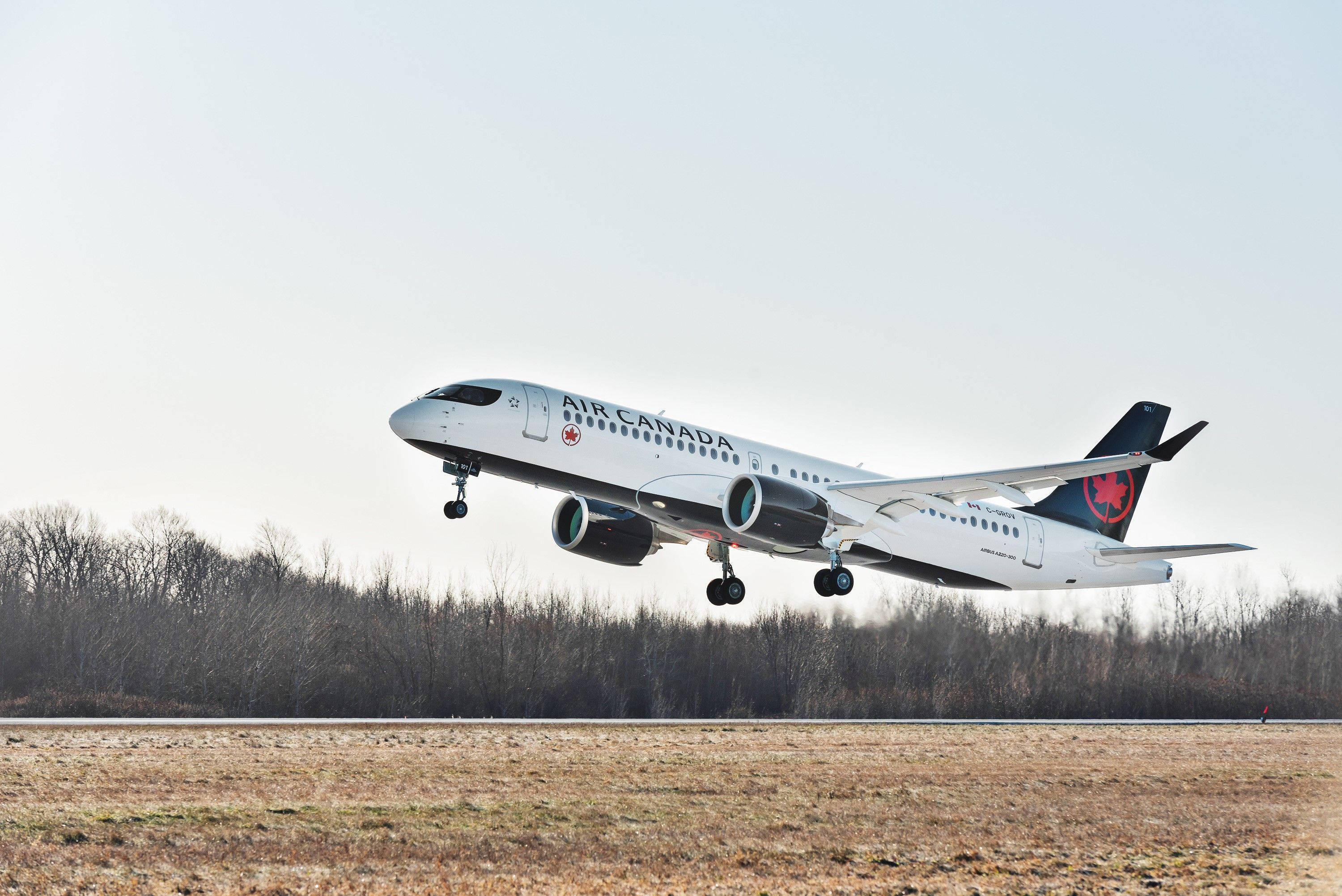 Air Canada飛機在乾燥跑道上起飛 壁紙 — 一架加拿大航空飛機在蒼白天空下從跑道起飛，下方有光禿禿的樹木和乾草。