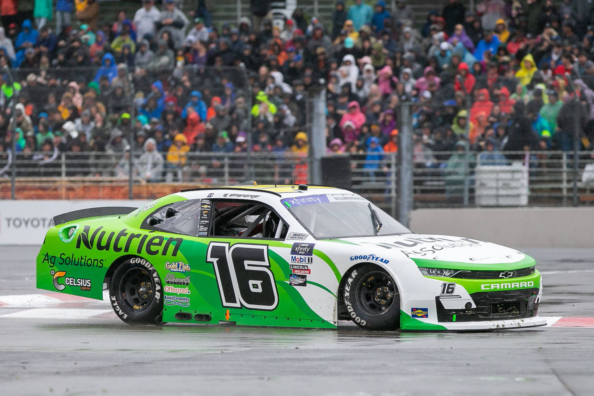 綠色和白色的 NASCAR 賽車在潮濕的賽道上飛馳，粉絲們歡呼雀躍。