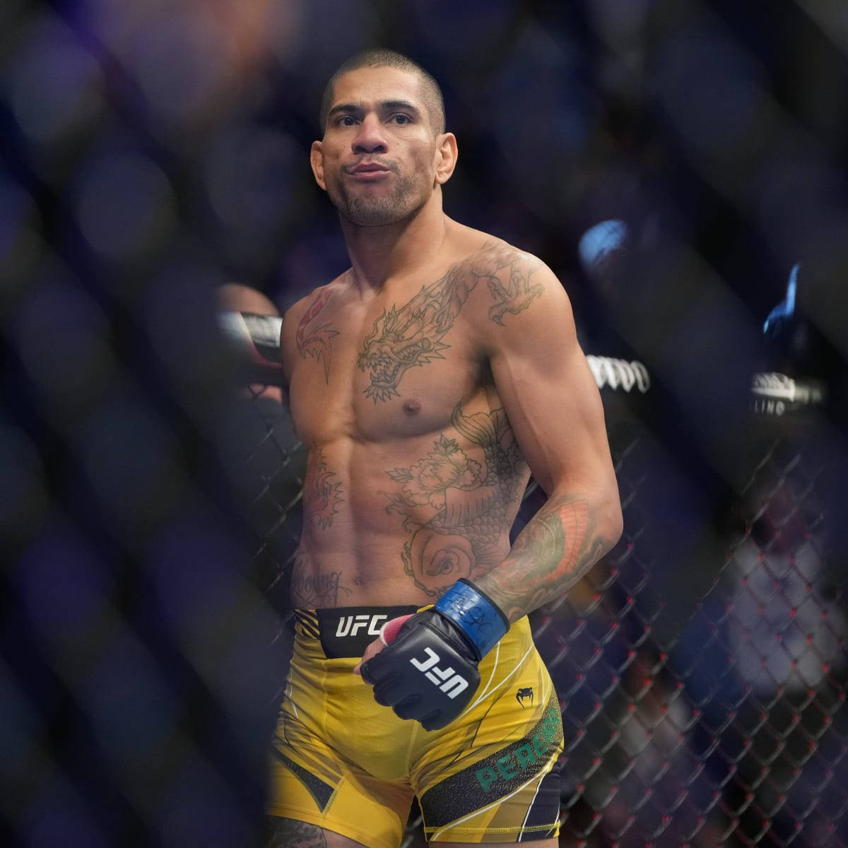 Alex Pereira穿黃短褲步入拳台 壁紙 — 一位肌肉發達的UFC拳手，身上有龍紋身，站在八角籠內，穿著黃色短褲和手套。