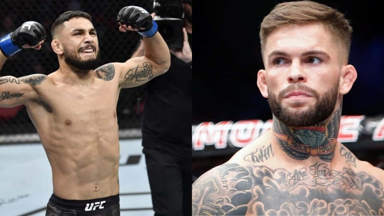 兩名有紋身的男性UFC拳手在八角籠中慶祝勝利