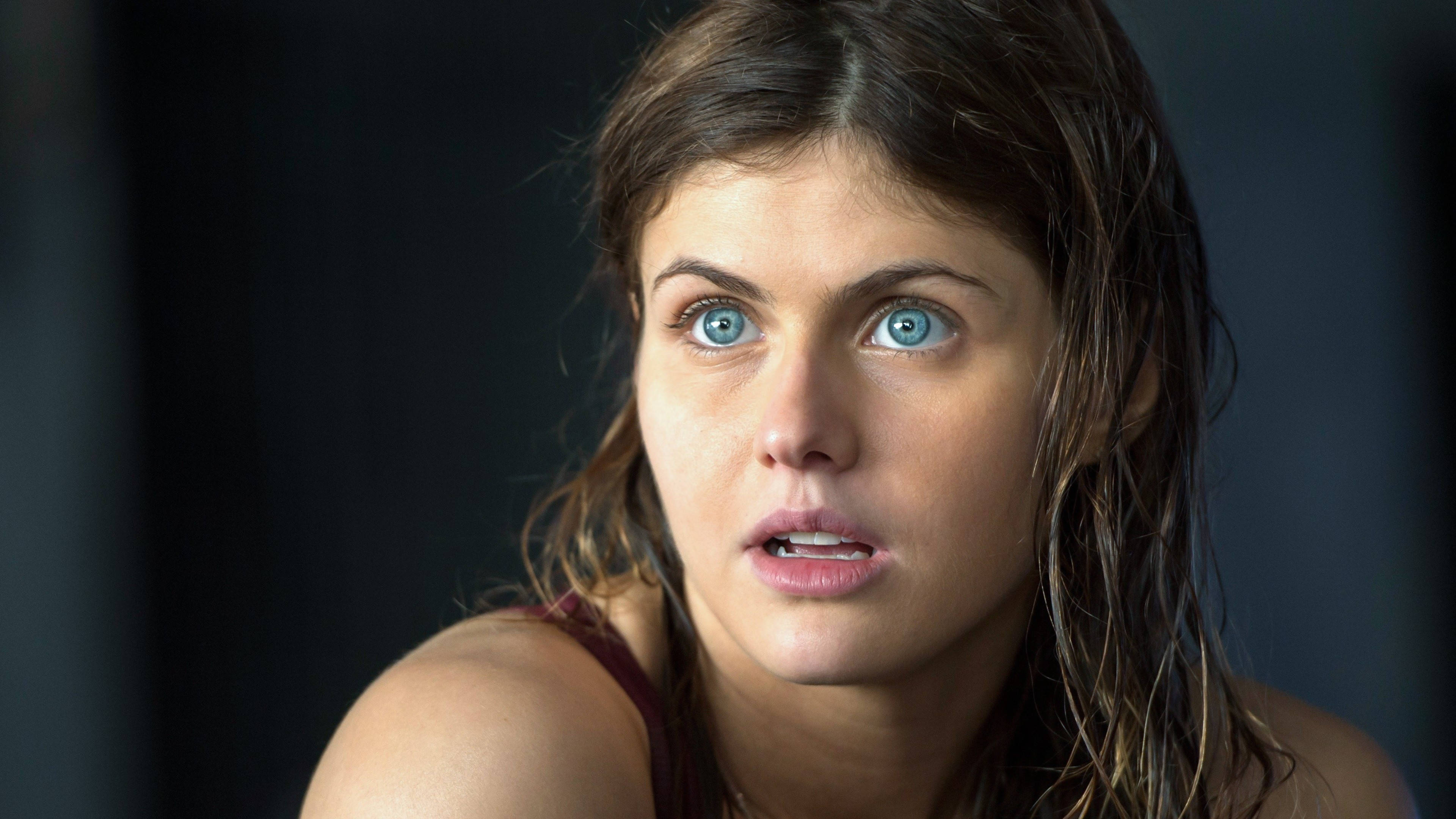Alexandra Daddario 迷人4K照片 壁紙