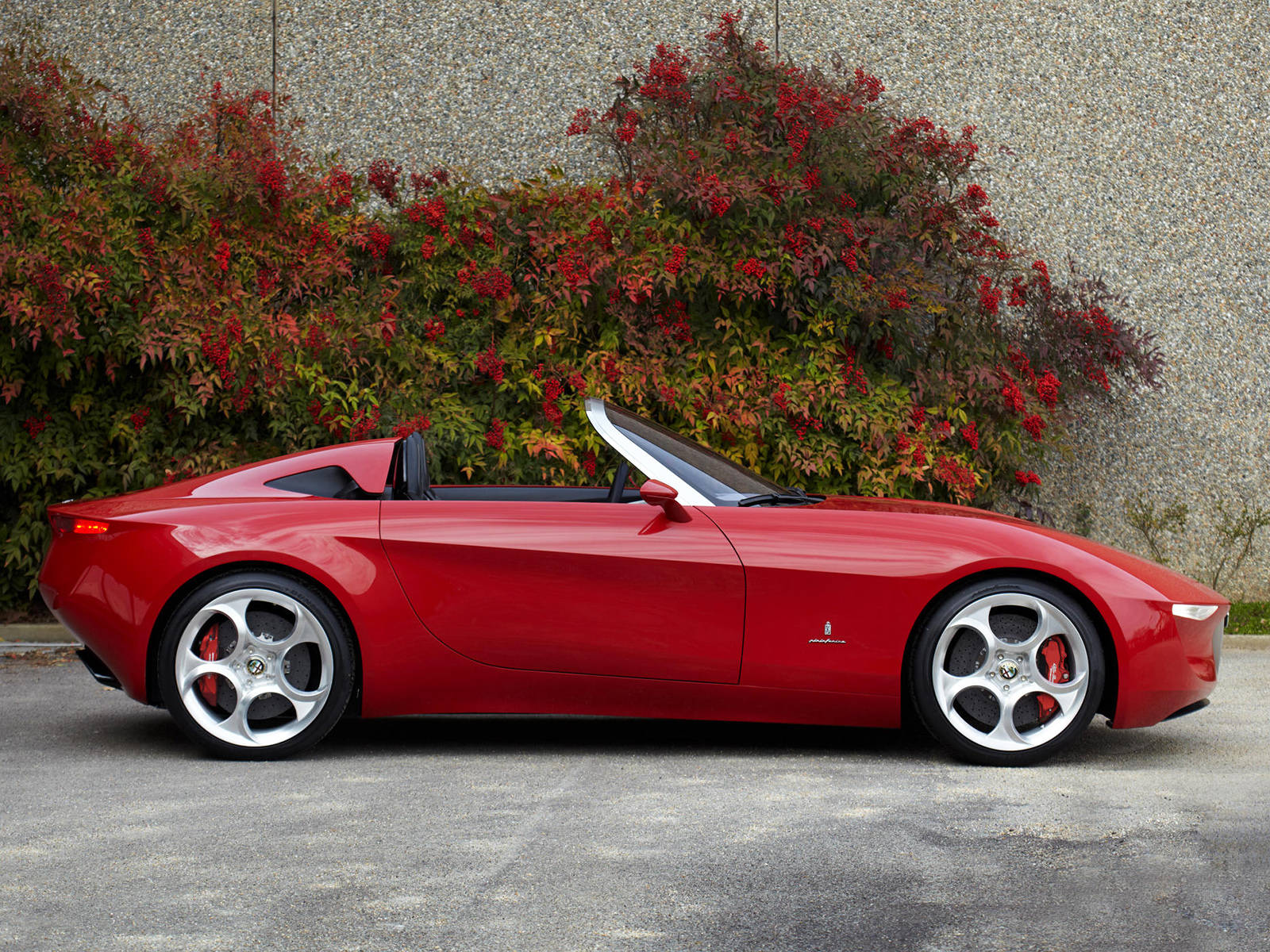 Alfa Romeo iPhone 花壇 壁紙 — 一架時尚的紅色愛快羅密歐Spider開篷車停泊在充滿活力的紅葉灌木旁，背景是紋理牆壁。