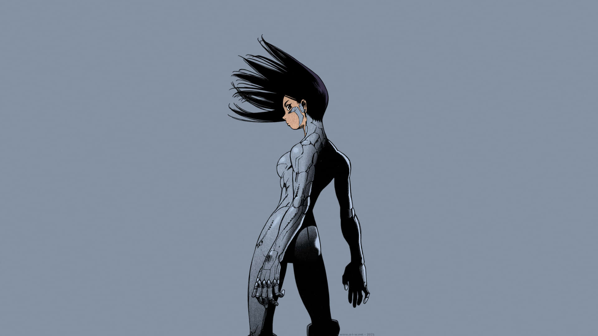 Alita 背景 壁紙