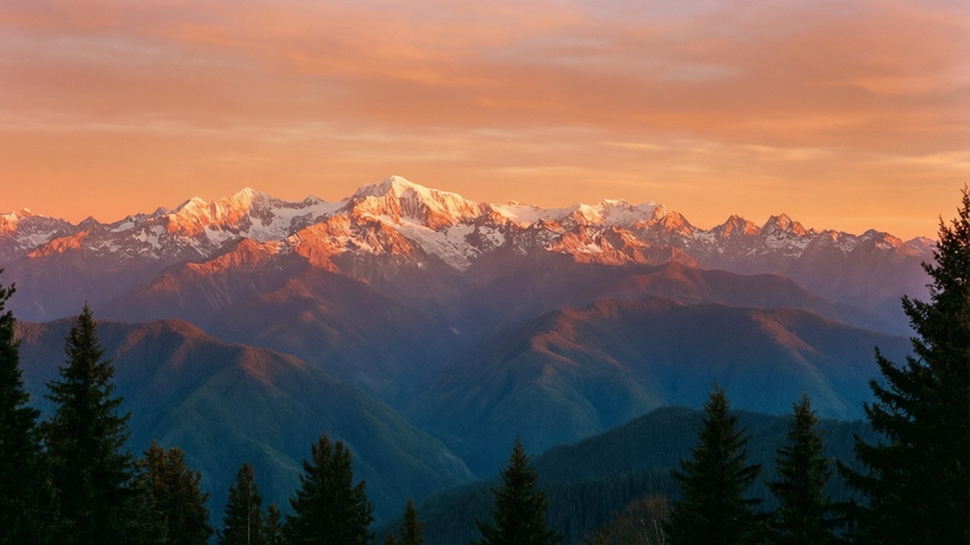 日落時分，積雪的山峰，前景是森林山脊