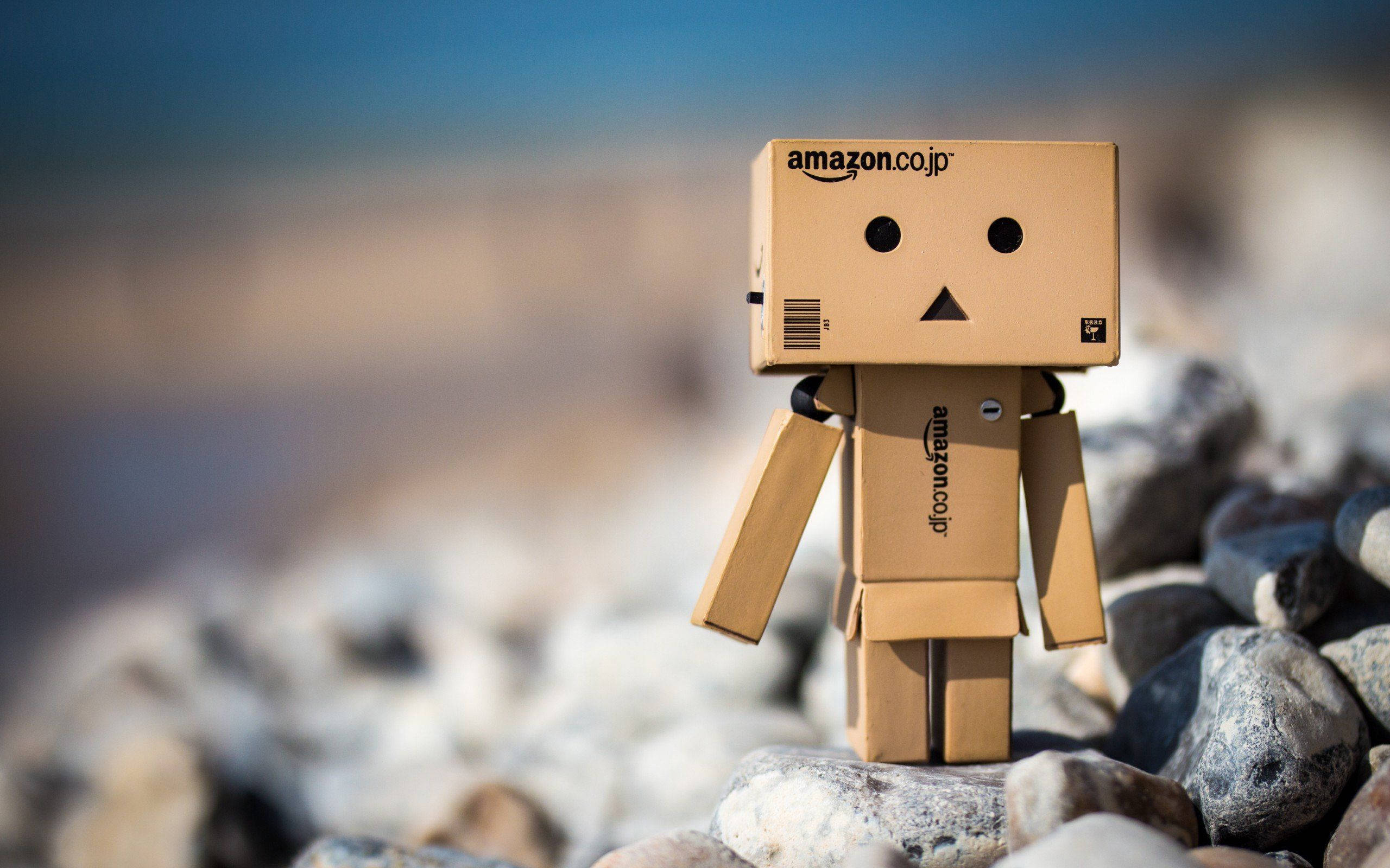 Amazon Boxman機器人 壁紙 — 一個紙板製作的Danbo機械人站在岩石海灘上，背景是模糊的海洋和天空。