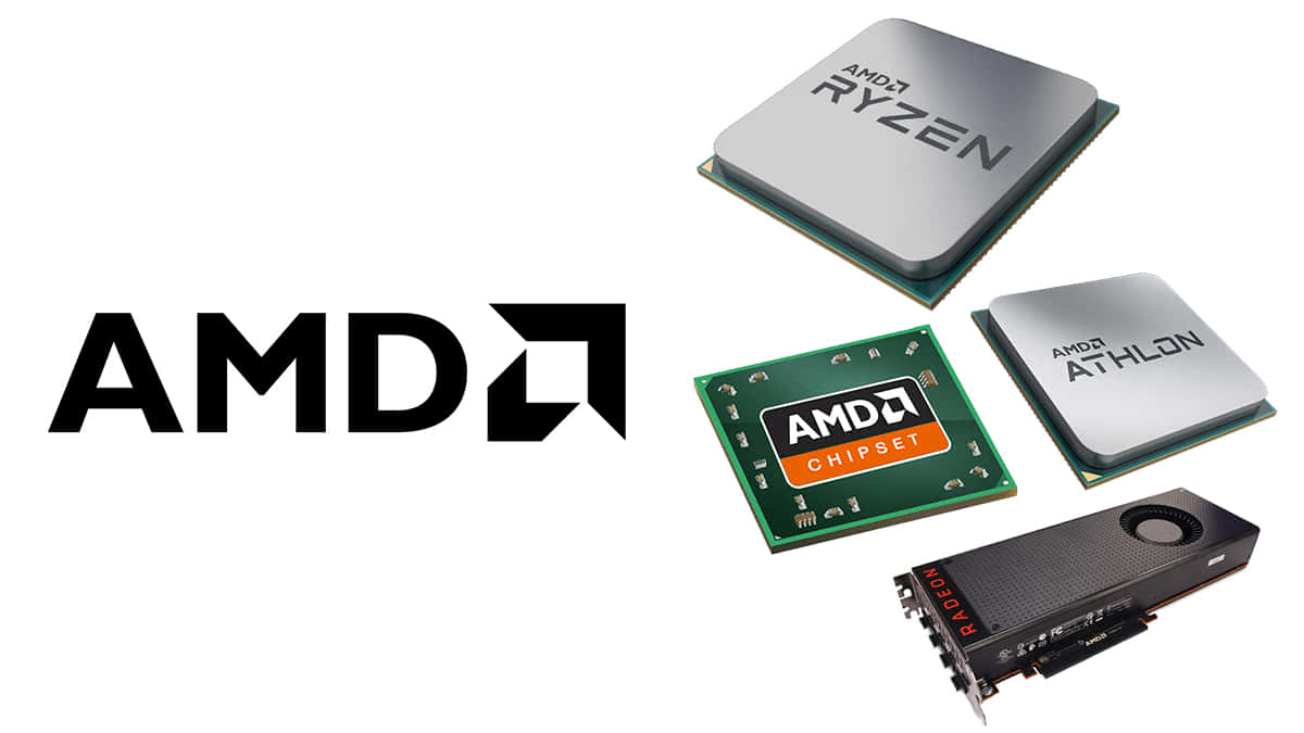 AMD 處理器和顯示卡產品與標誌一同展示。