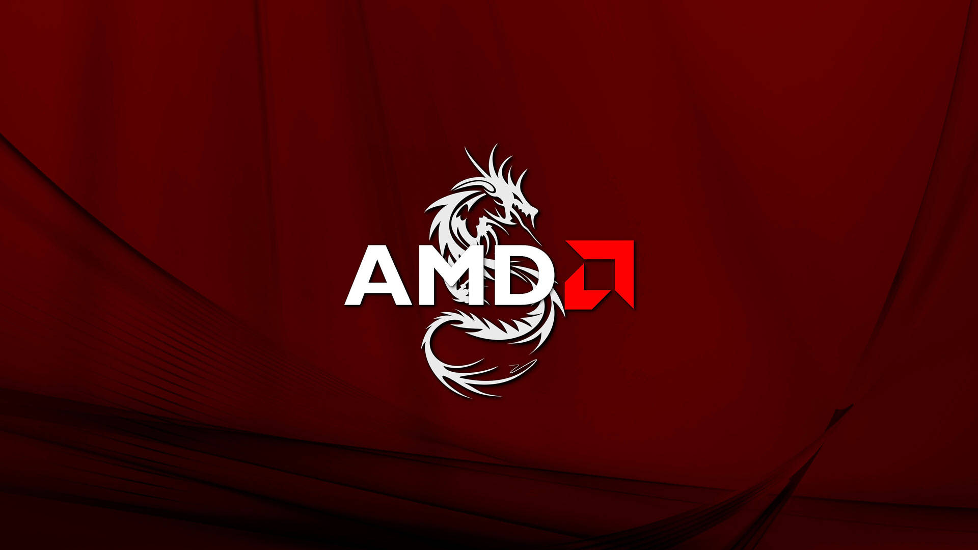 AMD標誌，在紅色紋理背景上展示白色龍和紅色方形。