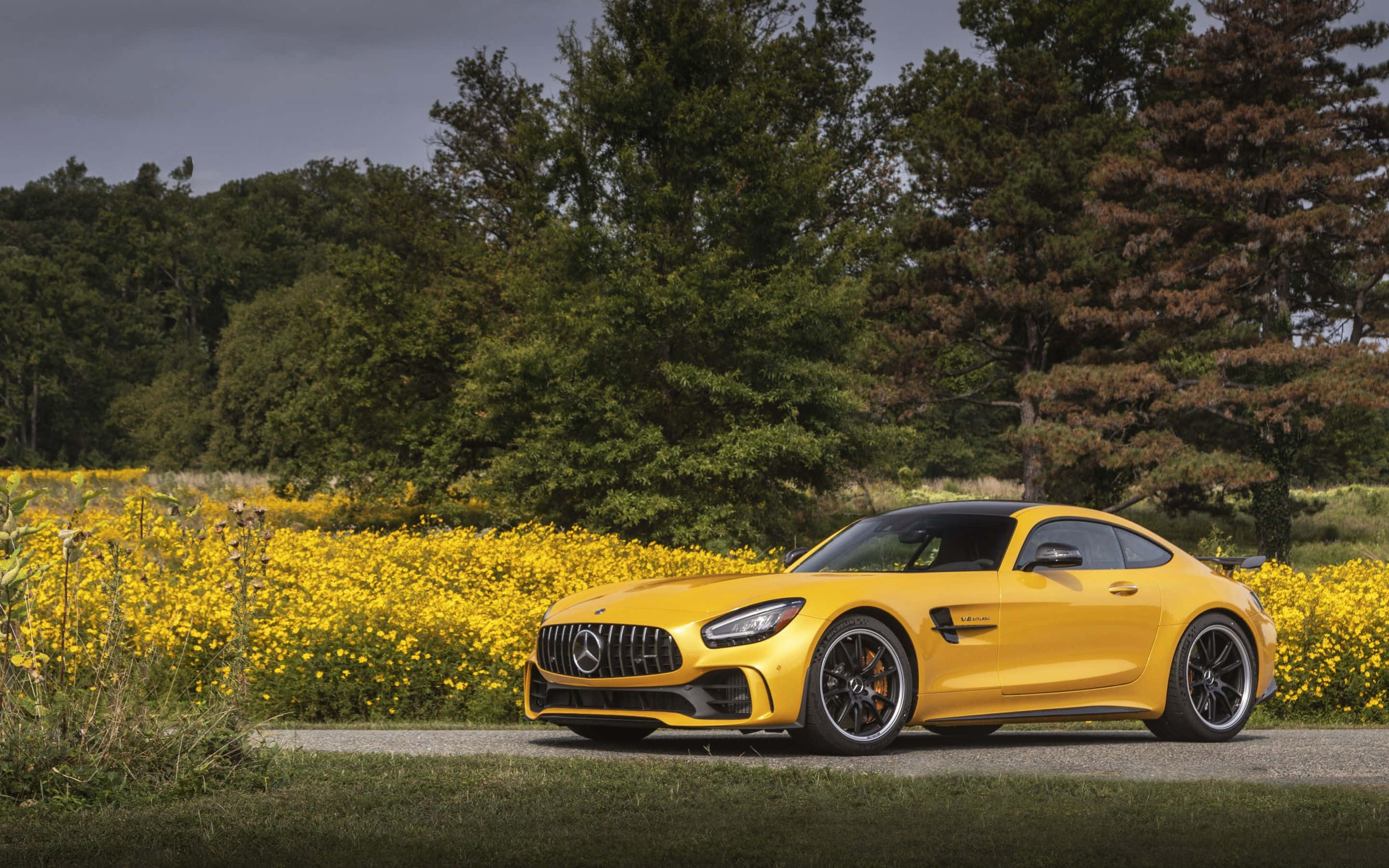 金色梅賽德斯-AMG GT 壁紙 — 一架充滿活力的黃色 Mercedes-AMG GT 停泊在碎石路上，旁邊是一片鮮黃色的花田，天空多雲。