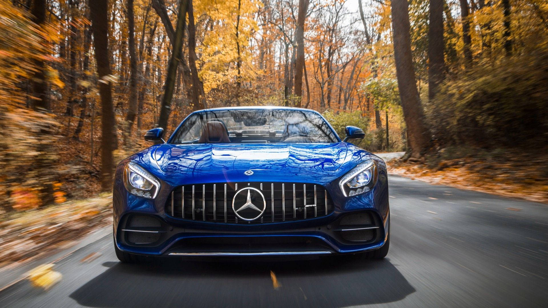 藍色梅賽德斯 AMG GT C 跑車 壁紙 — 一輛充滿活力的藍色 Mercedes-AMG GT 在金色秋葉飄落的森林中疾馳。