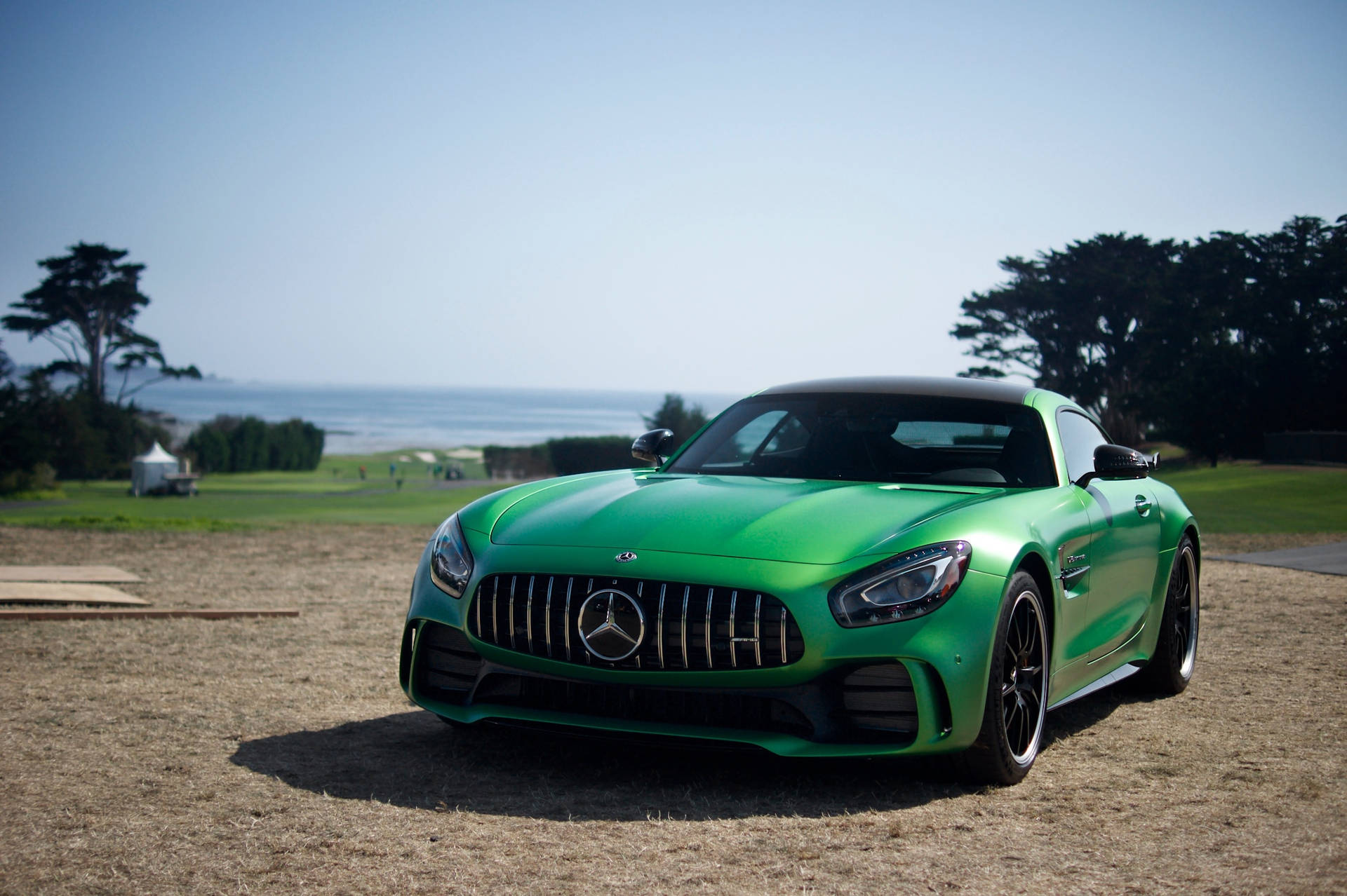 綠色Mercedes-AMG GT跑車停在海洋附近，有樹木和晴朗的天空。