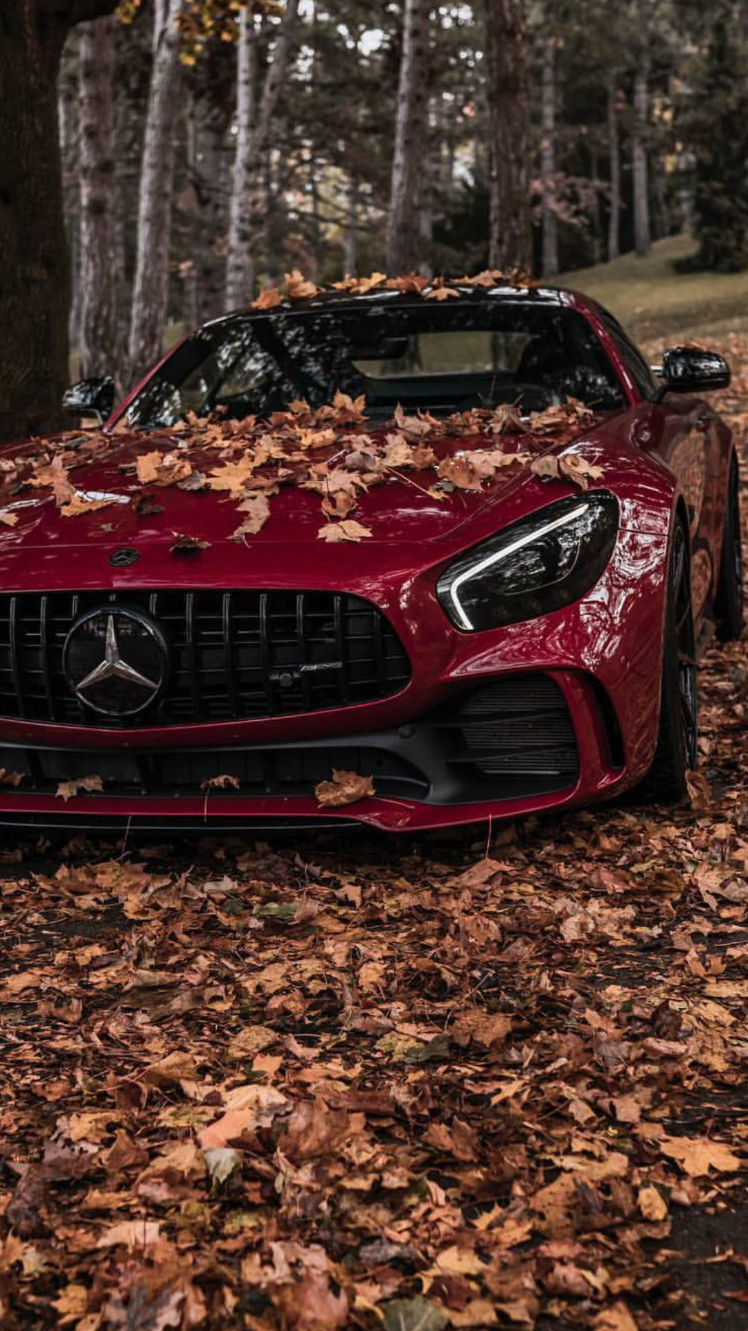 梅賽德斯-AMG 秋日 iPhone 壁紙 — 一架亮紅色跑車停在森林中，引擎蓋和地面上散落著秋天的落葉。