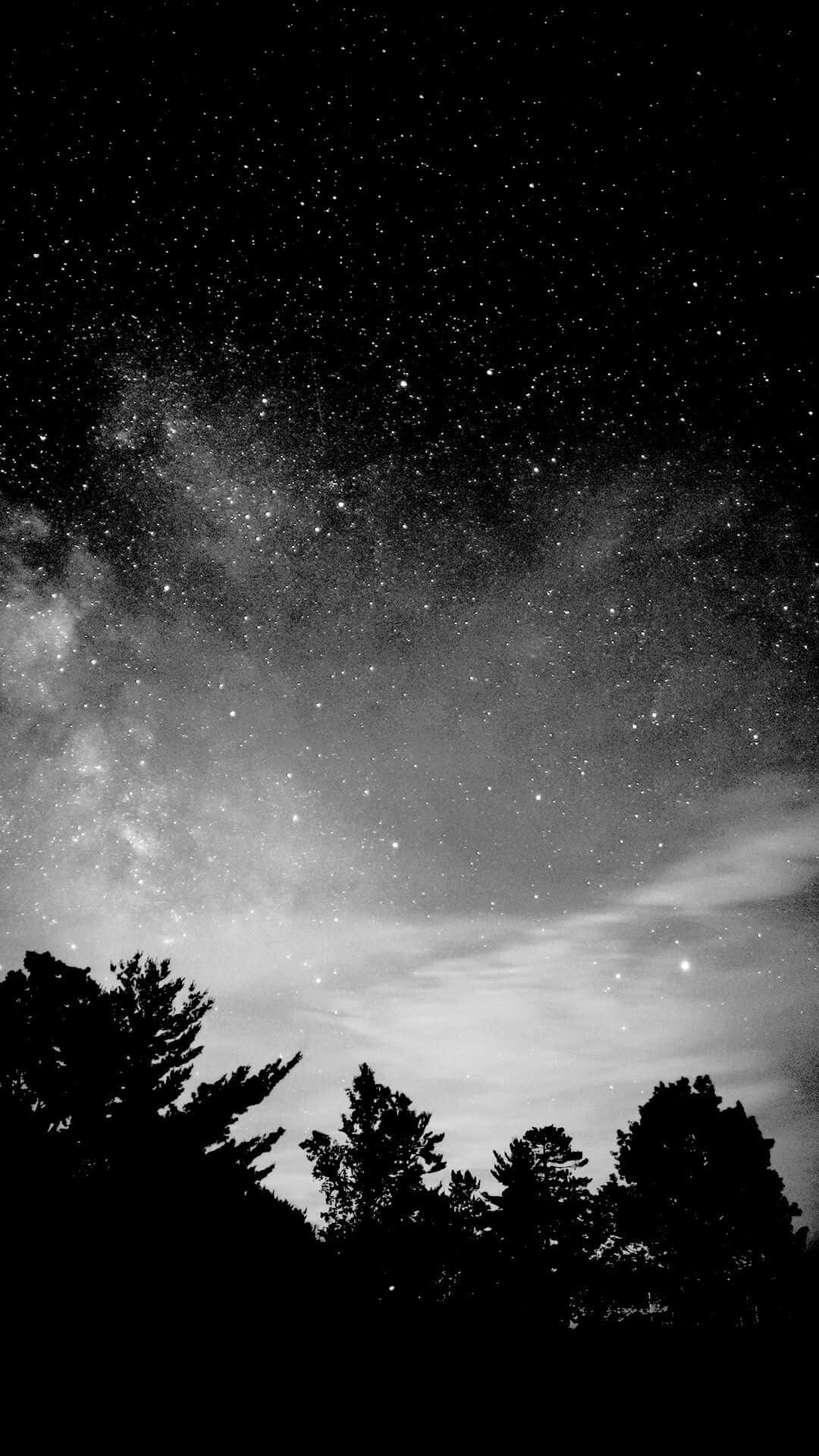 超清晰AMOLED顯示器 壁紙 — 令人嘆為觀止的黑白夜空，充滿無數星星，銀河在松樹剪影上方拱起。