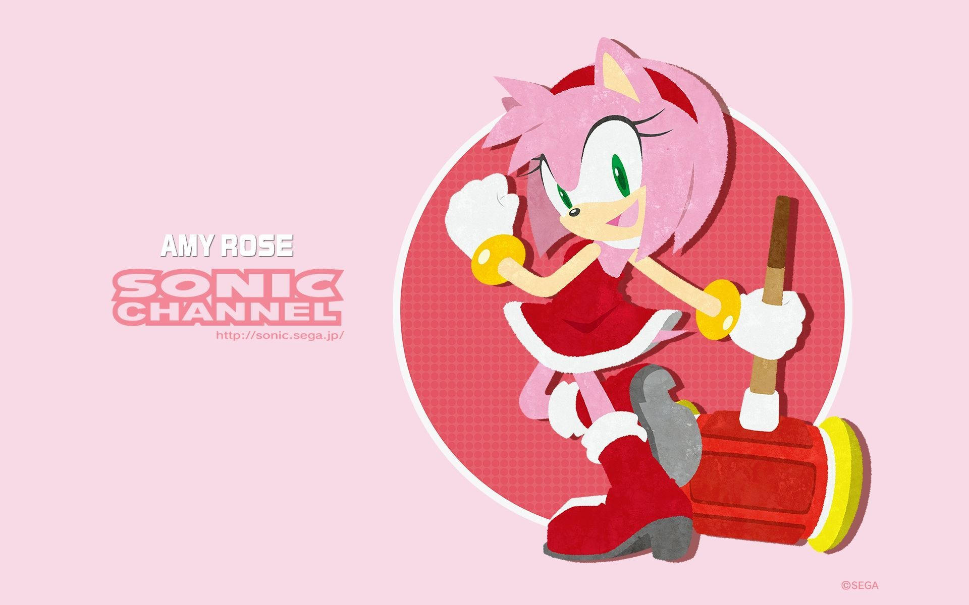 來自Sonic Channel的艾咪·羅斯在粉紅色主題插圖中手持她的錘子。