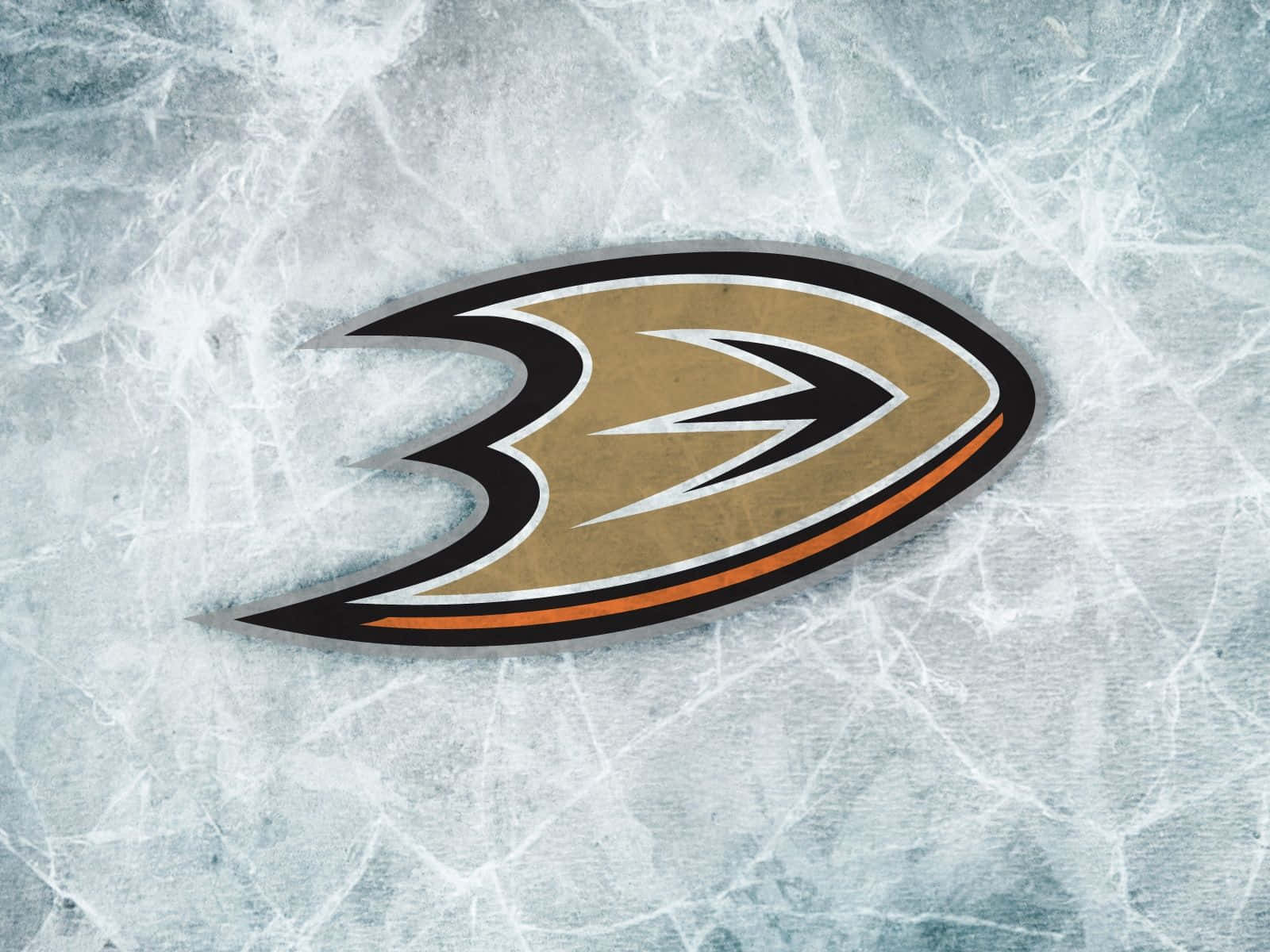 Anaheim Ducks 冰球標誌在刮花的冰面上。