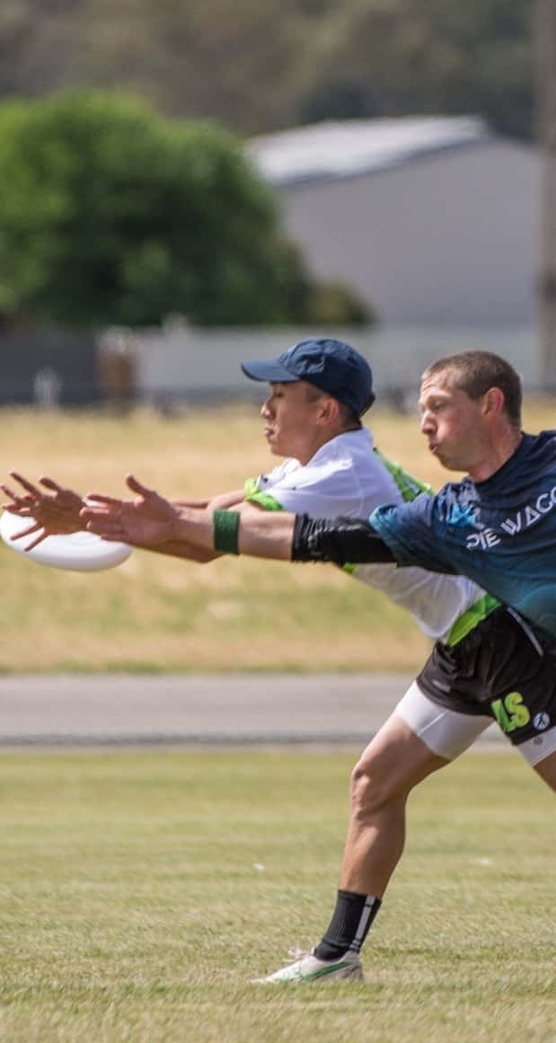 Android 背景下的高飛 Ultimate Frisbee 動作 壁紙 — 兩名運動員在草地上激烈爭奪飛行的飛盤，陽光普照。
